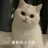 御水流云