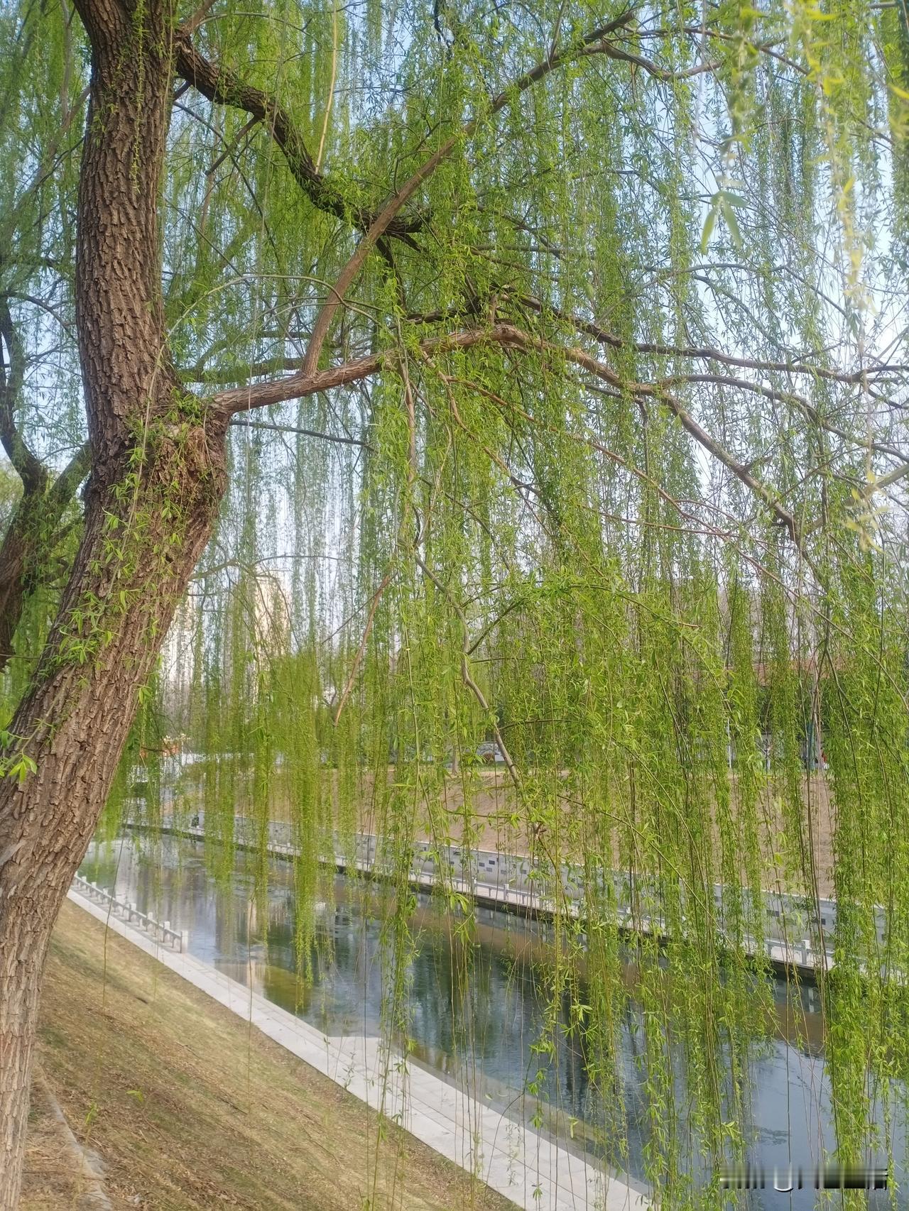 改变你的一生，就在今天。不要把赌注押在未来。
现在就行动，不要拖延。