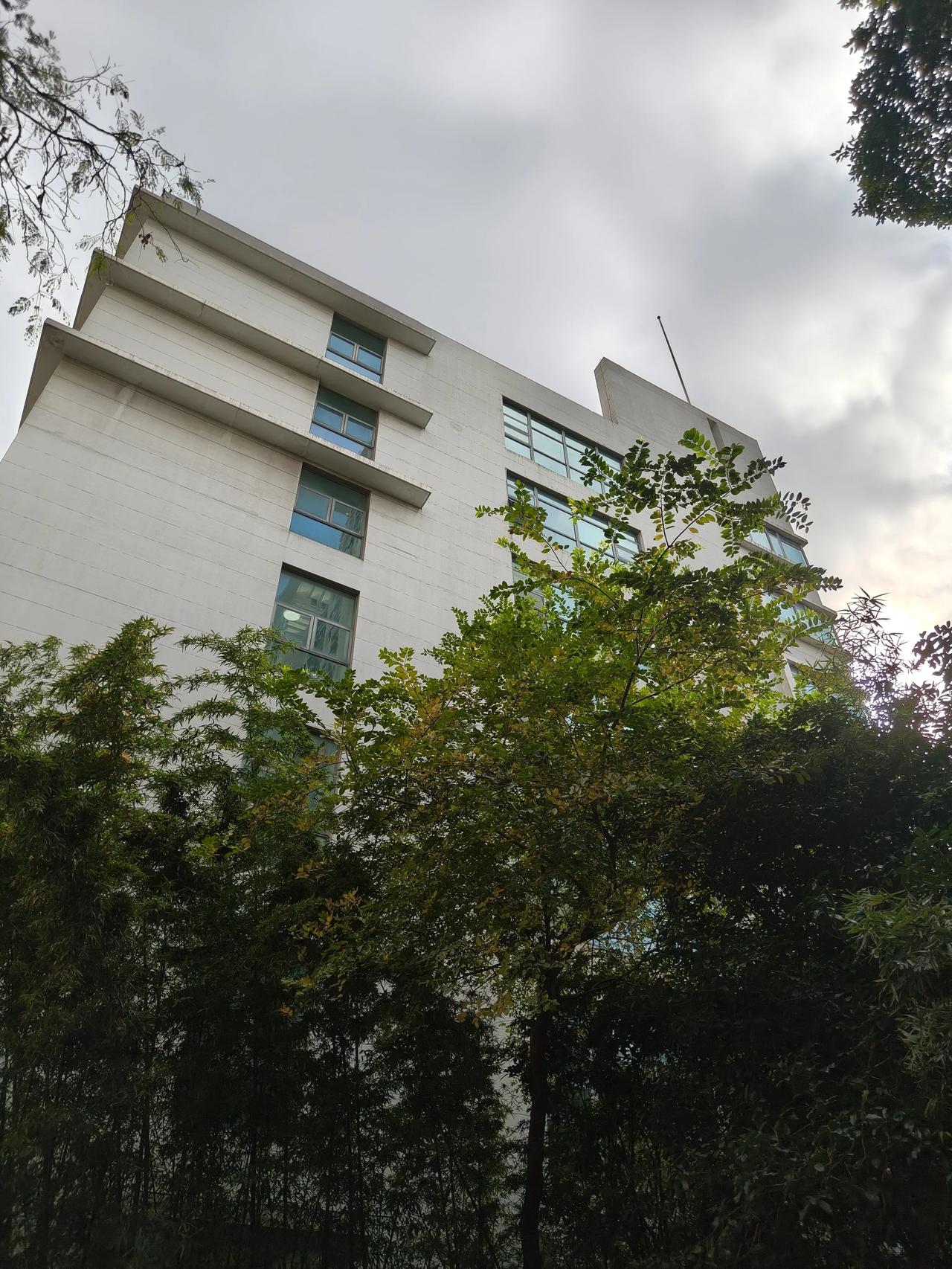 冬日美景随手拍实景图分享！

身边的风景随手拍～🌲🌲🍂🍂