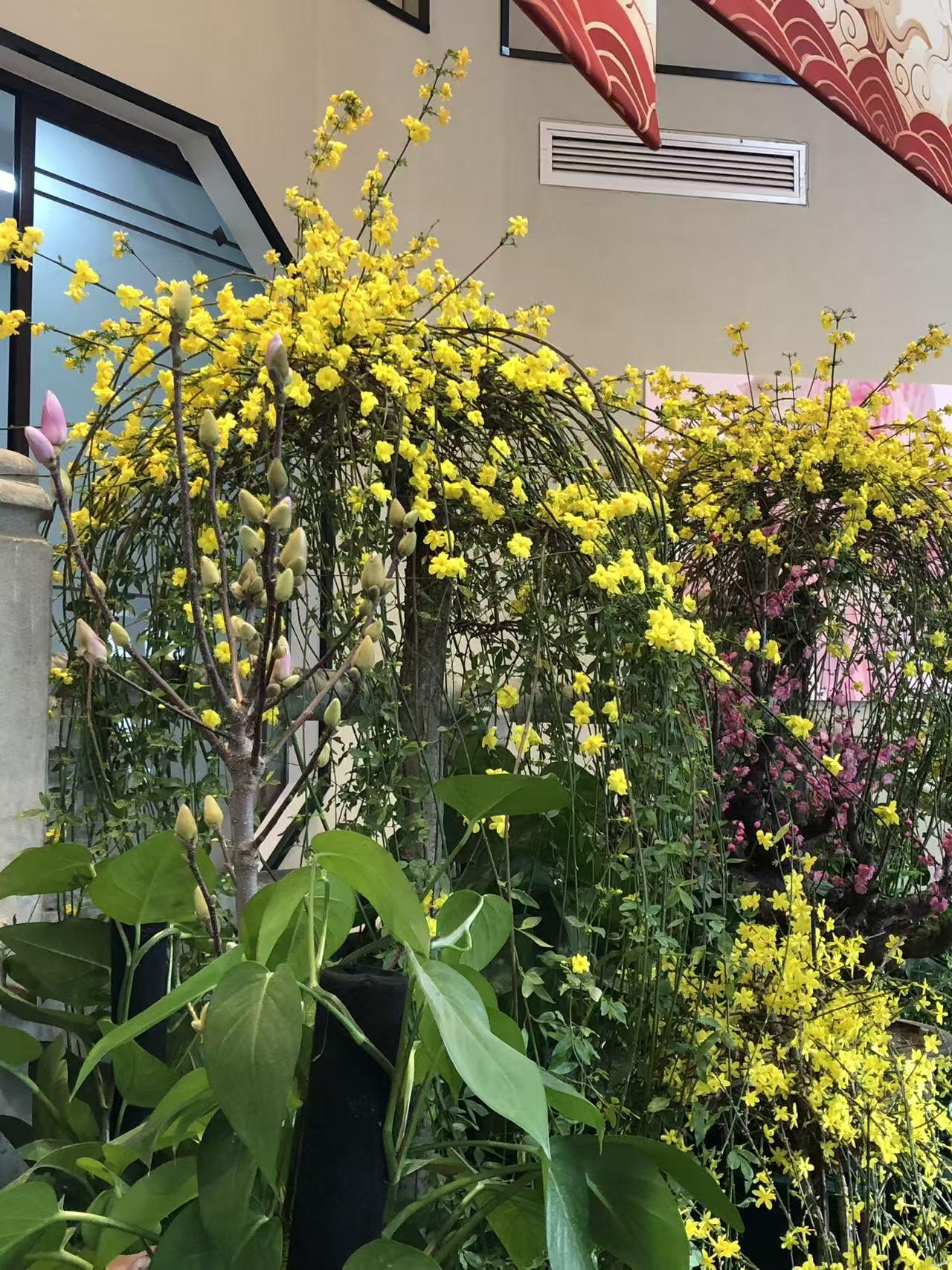 面对现实，我想说：“这破生活，还得硬着头皮过！”
现实就是这么残酷，就像我那老友