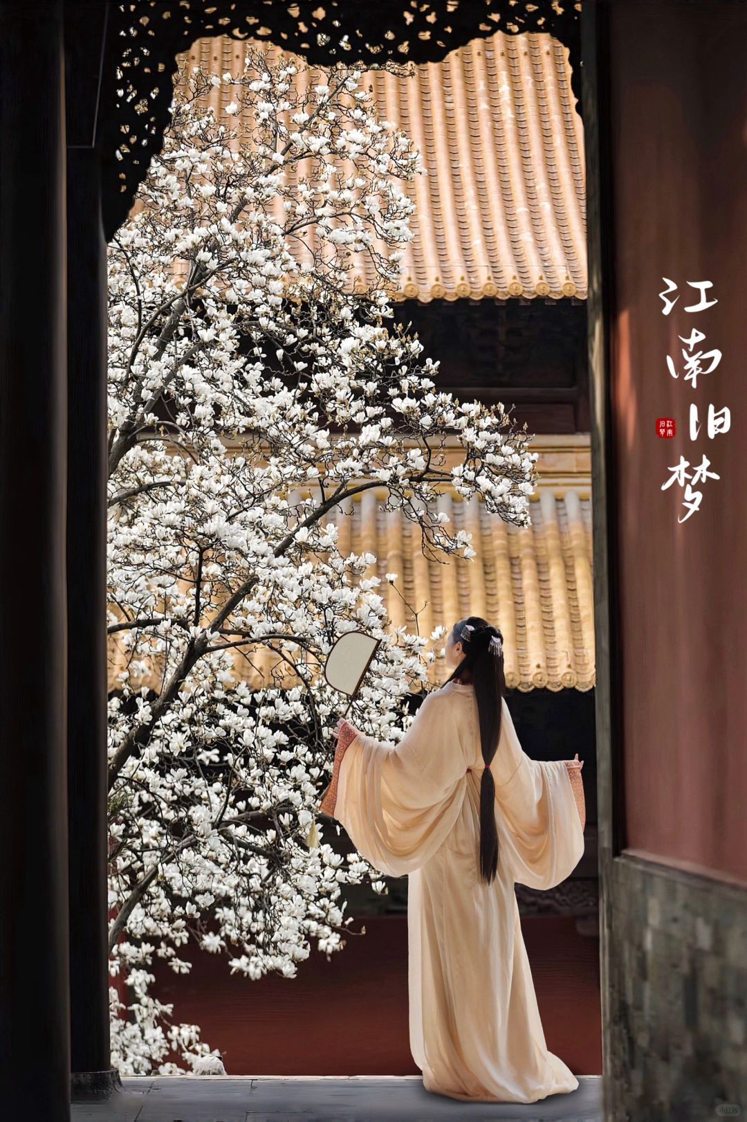 我在南京走花路❗️上万人的朝天宫怎么拍玉兰