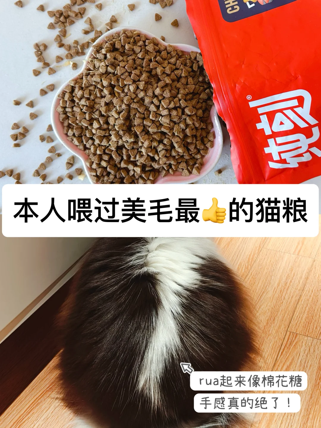 曝光这款猫粮！一不留神猫咪就长肉美毛了！