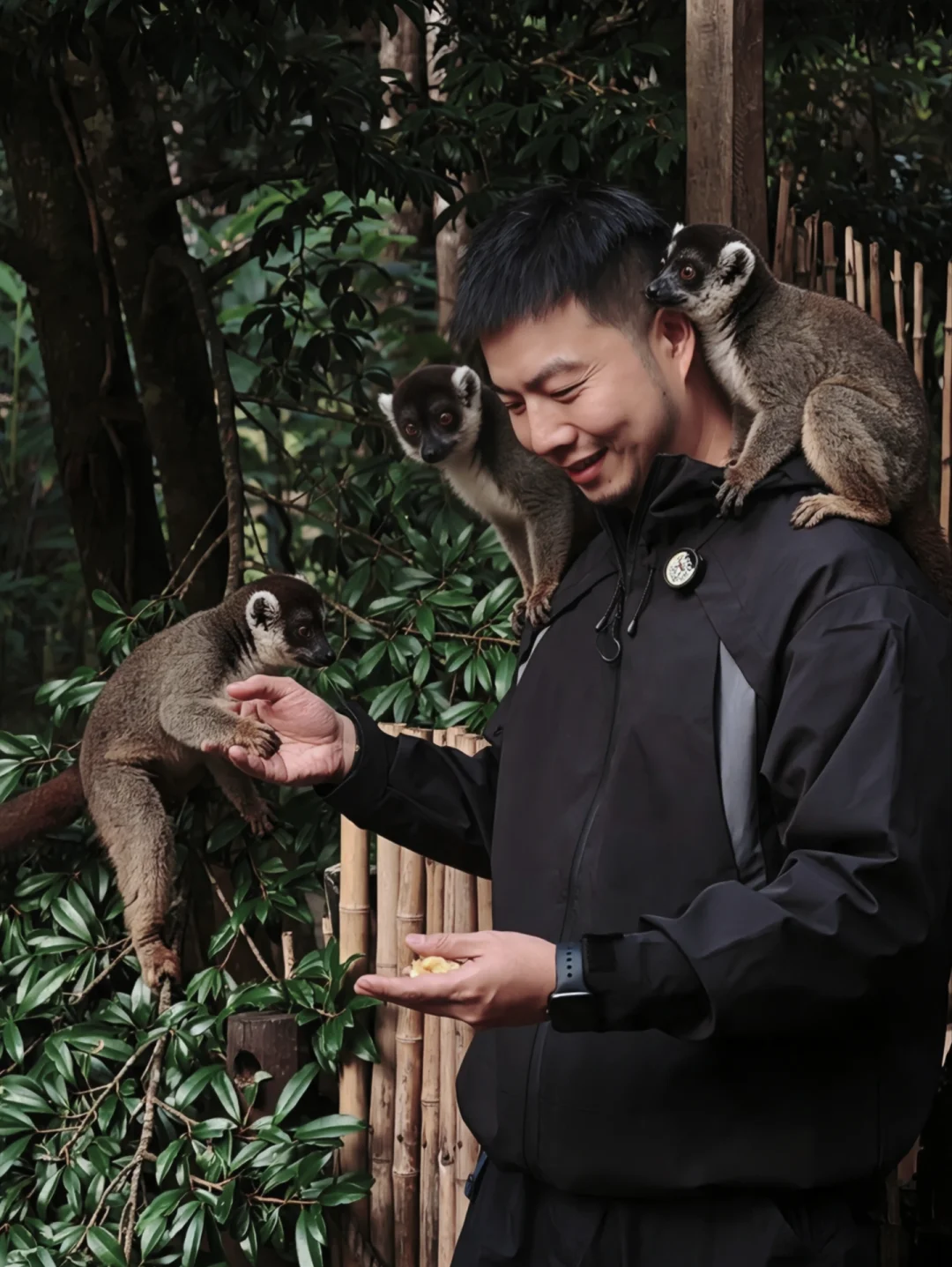 🌿 旅行中｜马达加斯加狐猴奇遇记（上）