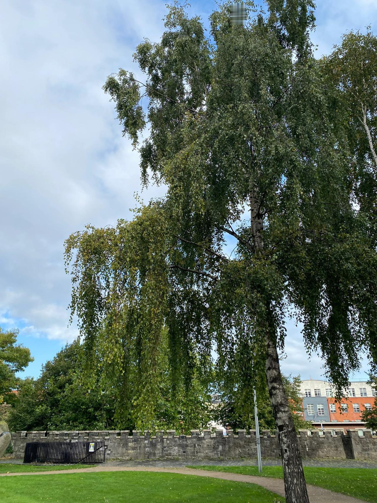 想念我的国家，中国。中国有世界最好吃的食物，有 24小时待命的送餐外卖小哥，以及