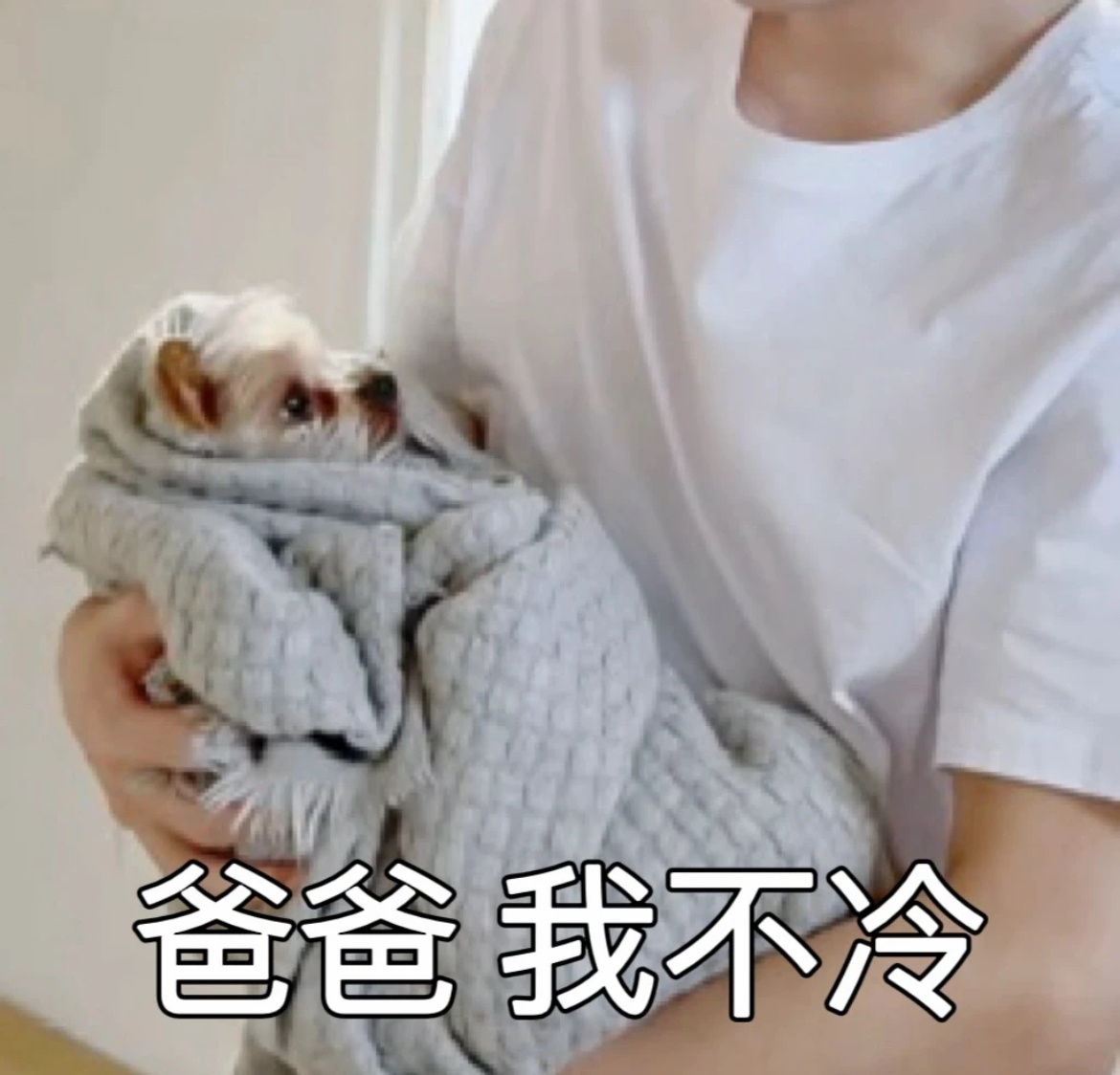 爸比亲手带大的俩儿砸当然是他最懂呆球的小心思咯～ 