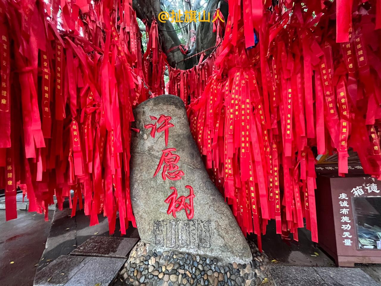 厦门市大嶝岛上有棵许愿树，引来游客驻足观看………
2025年12月，我用手机摄影