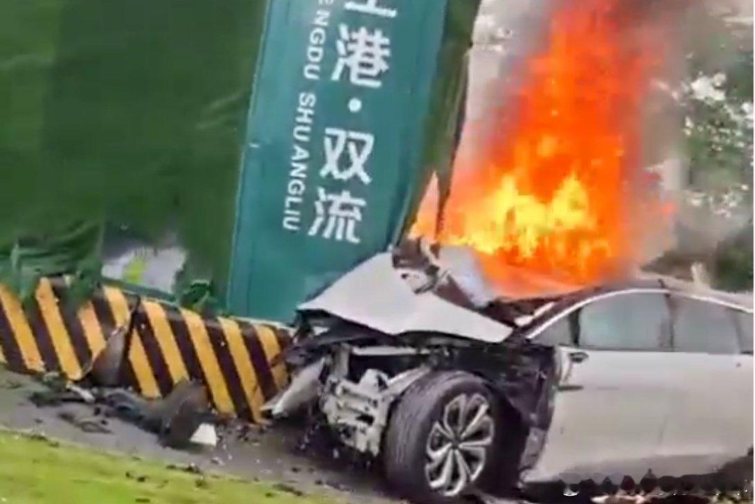 新能源车最怕碰撞起火，车体变形车门打不开，乘客可能出不来。建议开车慢一点，也希望