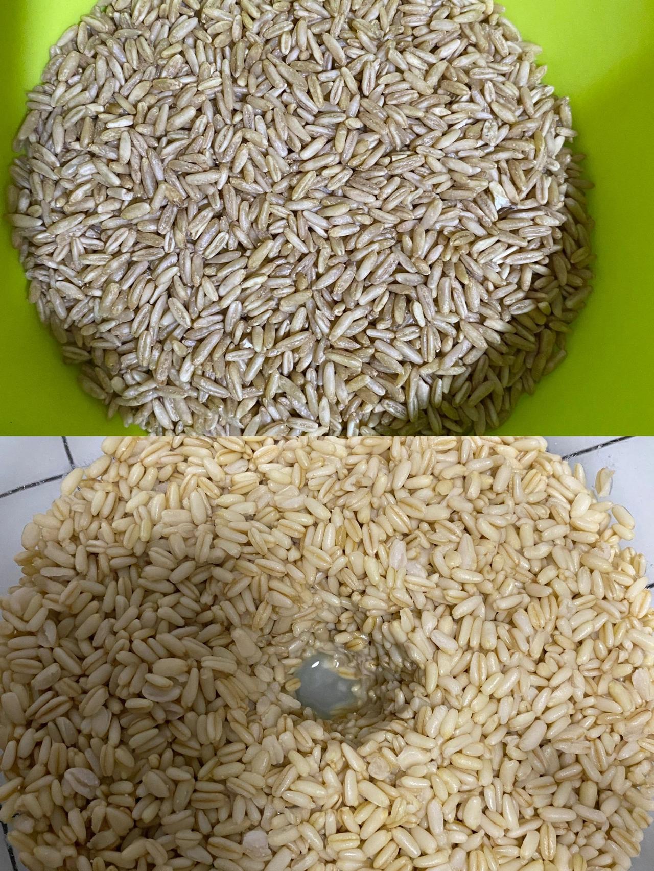 西北酒酿；南方有酒酿，北方有甜胚子！相同的做法，不同食材却有着巨大差异的口感。
