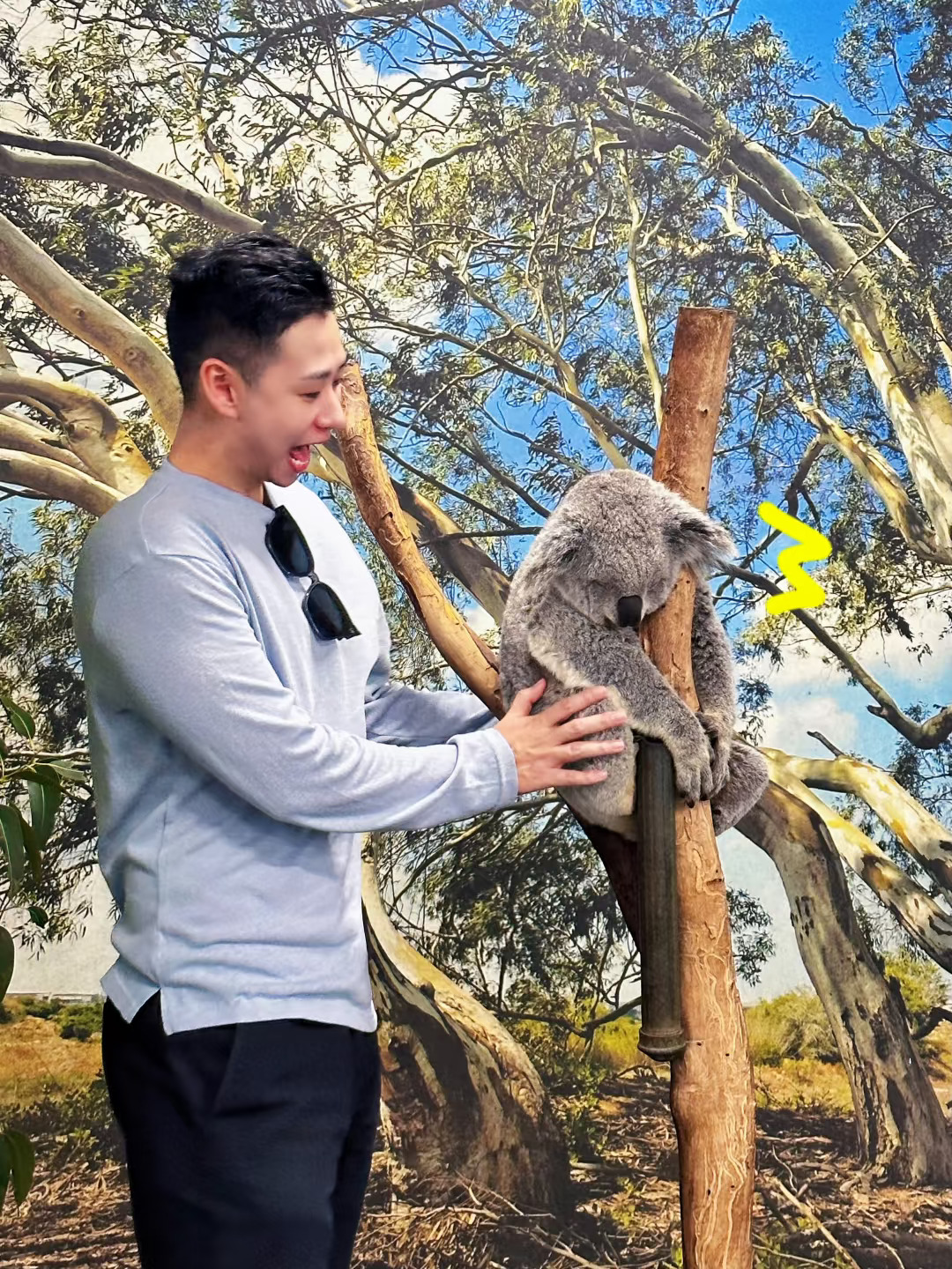 10h飞行逃离去悉尼抱考拉，南半球最好季节！