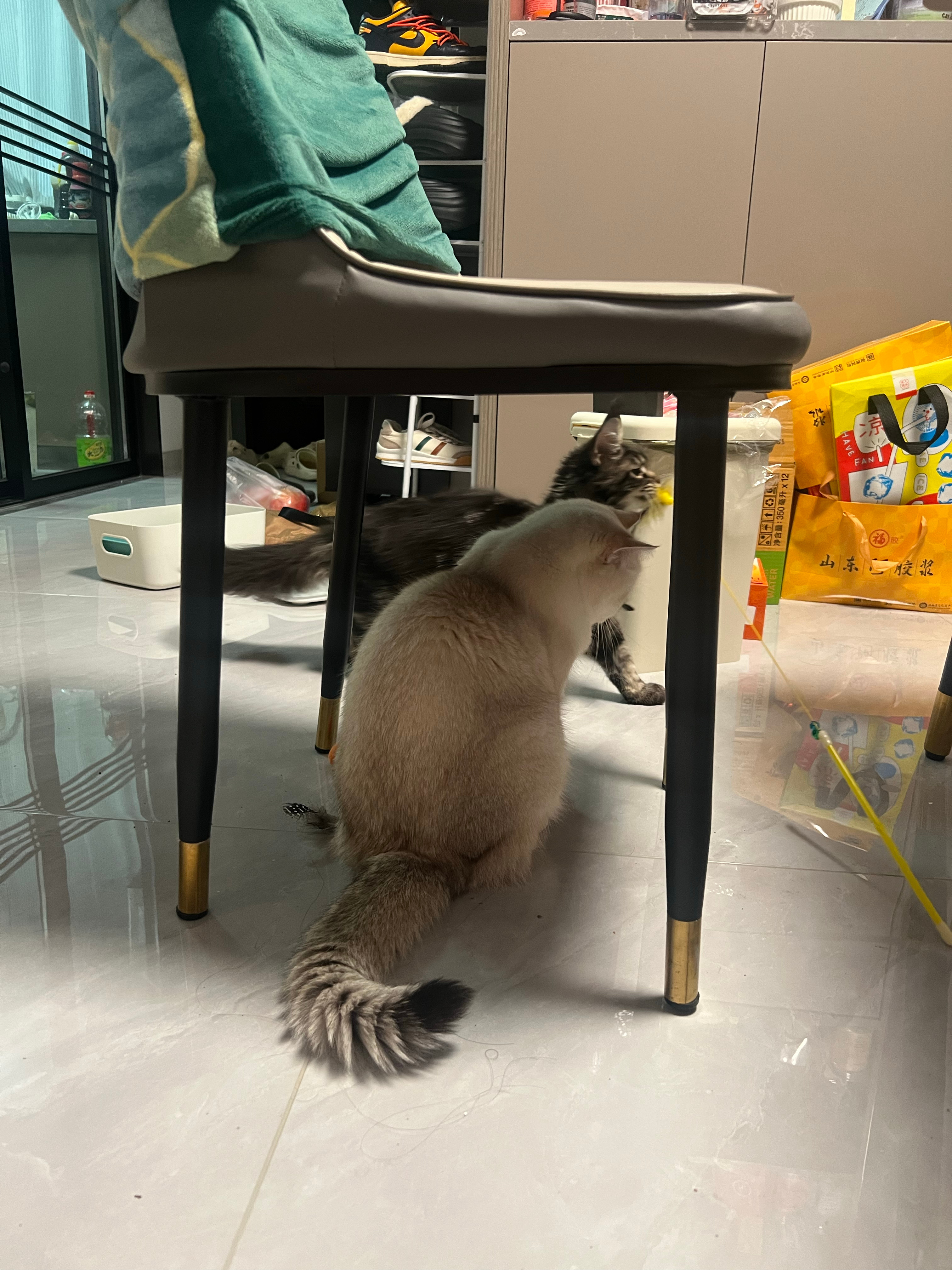 麦麦你萌！！ ​​​