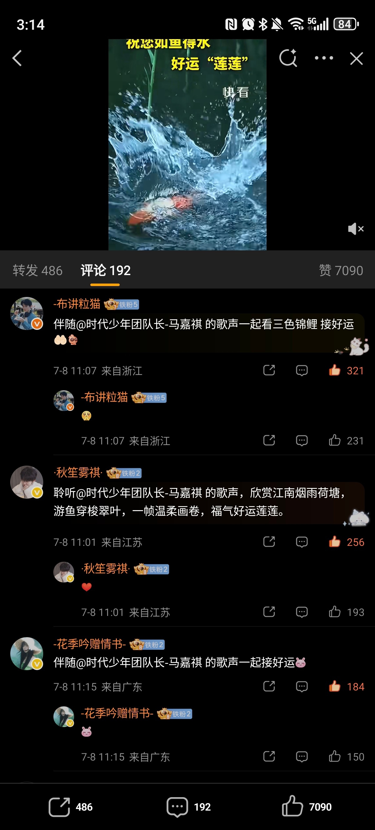 ✔️🈳网页链接  专栏 · 🈳评组