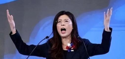 郑丽文在台北开腔，首次公开否认“一国两制”，不再兜圈子。这番话丢在岛内政坛，立马