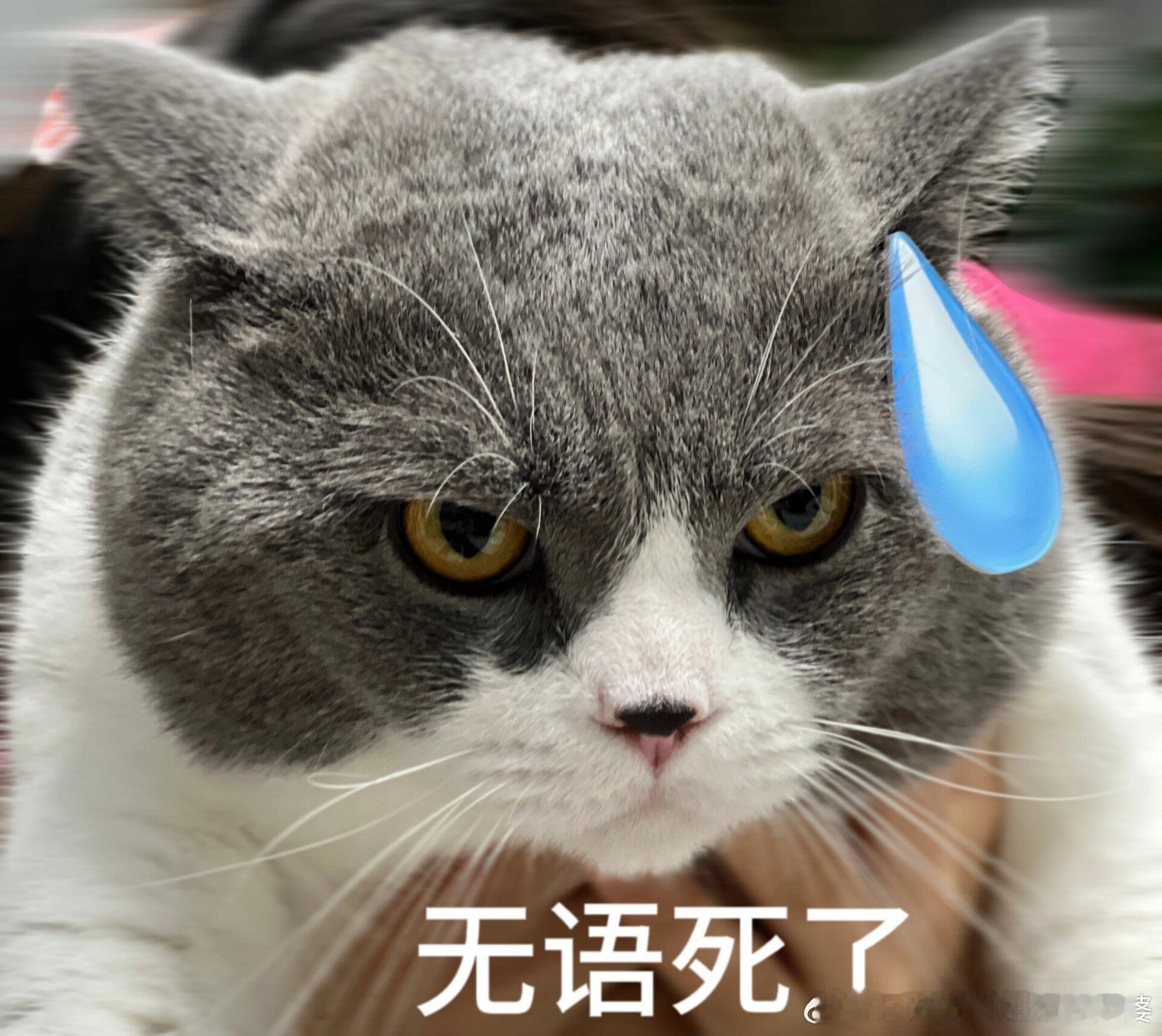 毕业11年存350万的5个消费习惯我认识一个弟弟，两年存了2000万，他抽烟喝酒