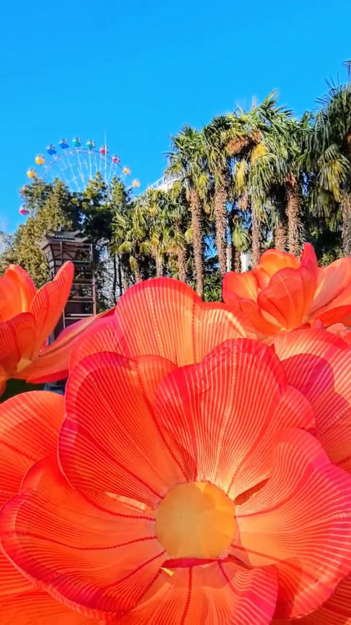 王城公园灯会正布展，猜猜能否和尔滨一比？
朋友们，这里是河南洛阳的王城公园，目前