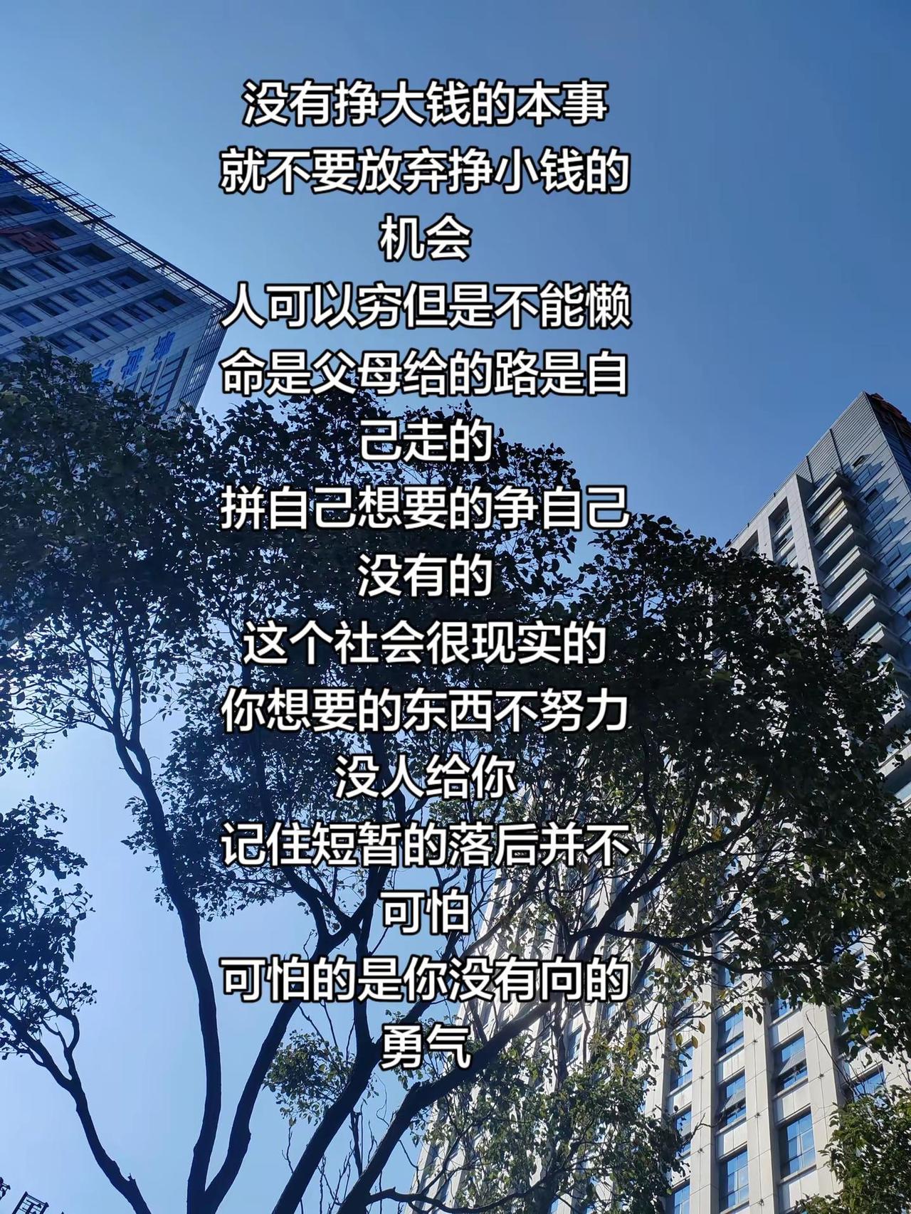 这个社会很现实，你想要的东西不努力没人给你人生感悟