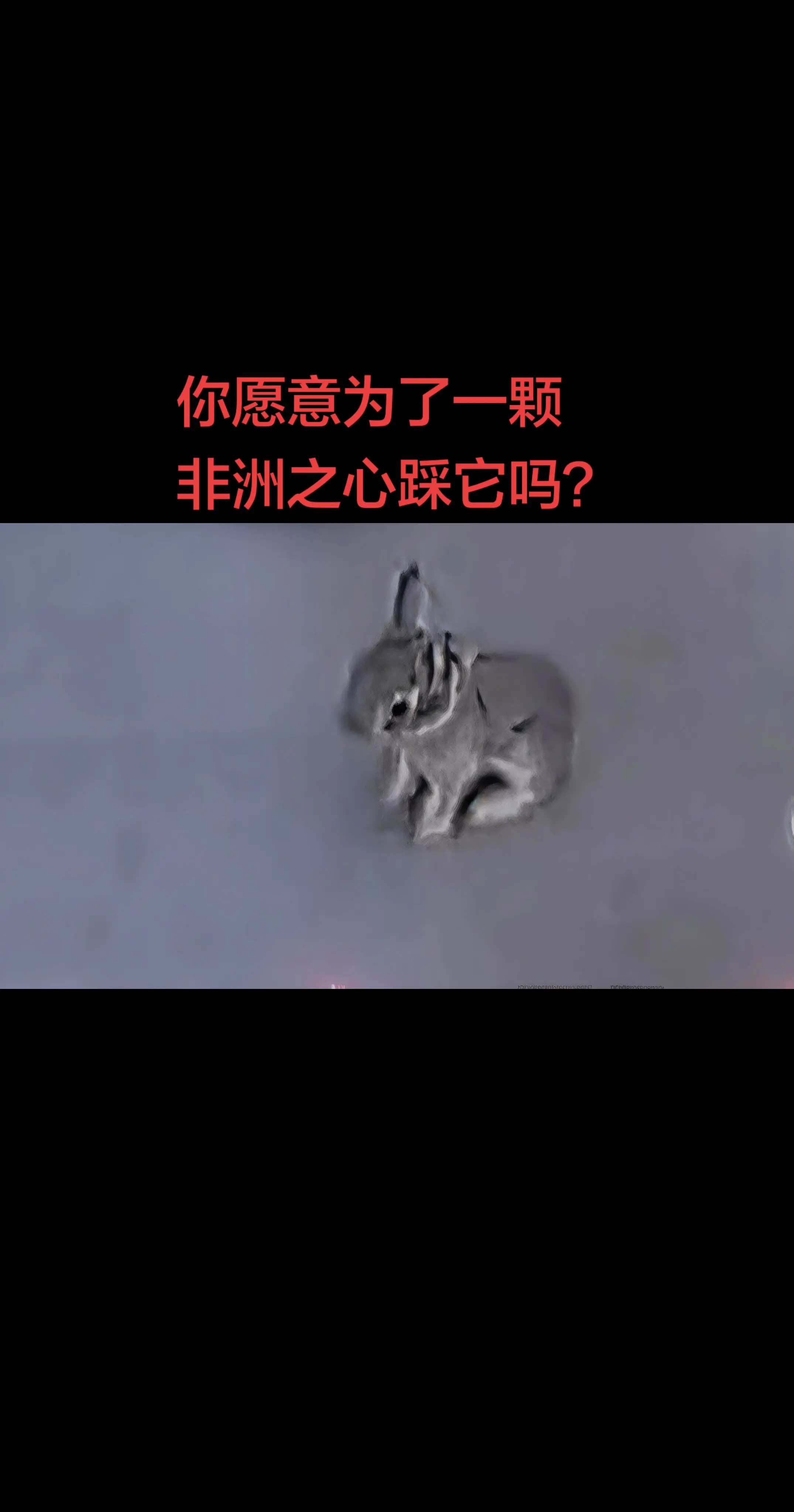 你愿意为了一颗非洲之心踩它吗？