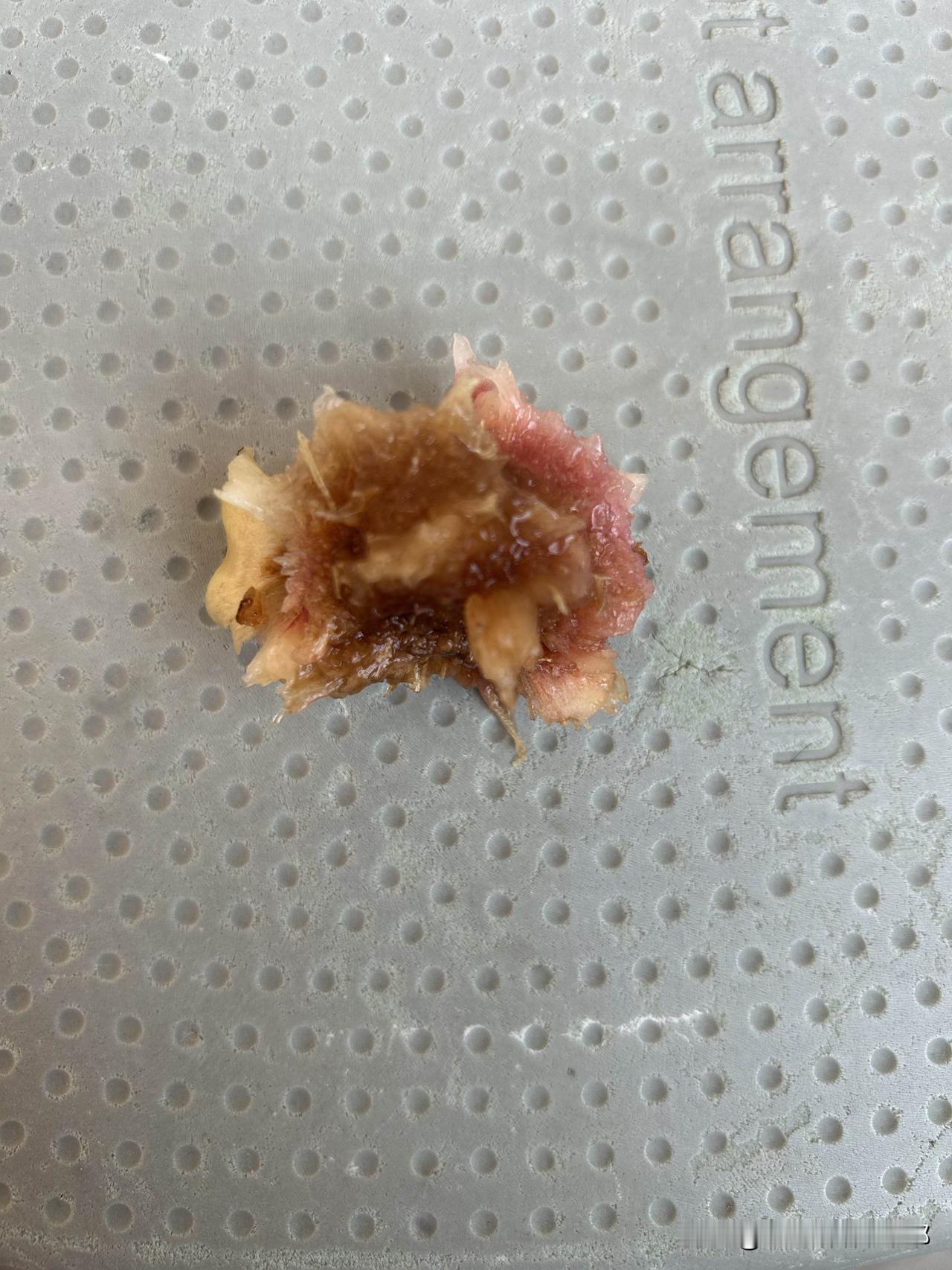 真的纳闷了，放在树上摘下桃子，并且果农要价还挺高的，十个桃子花了三十元钱，吃起来