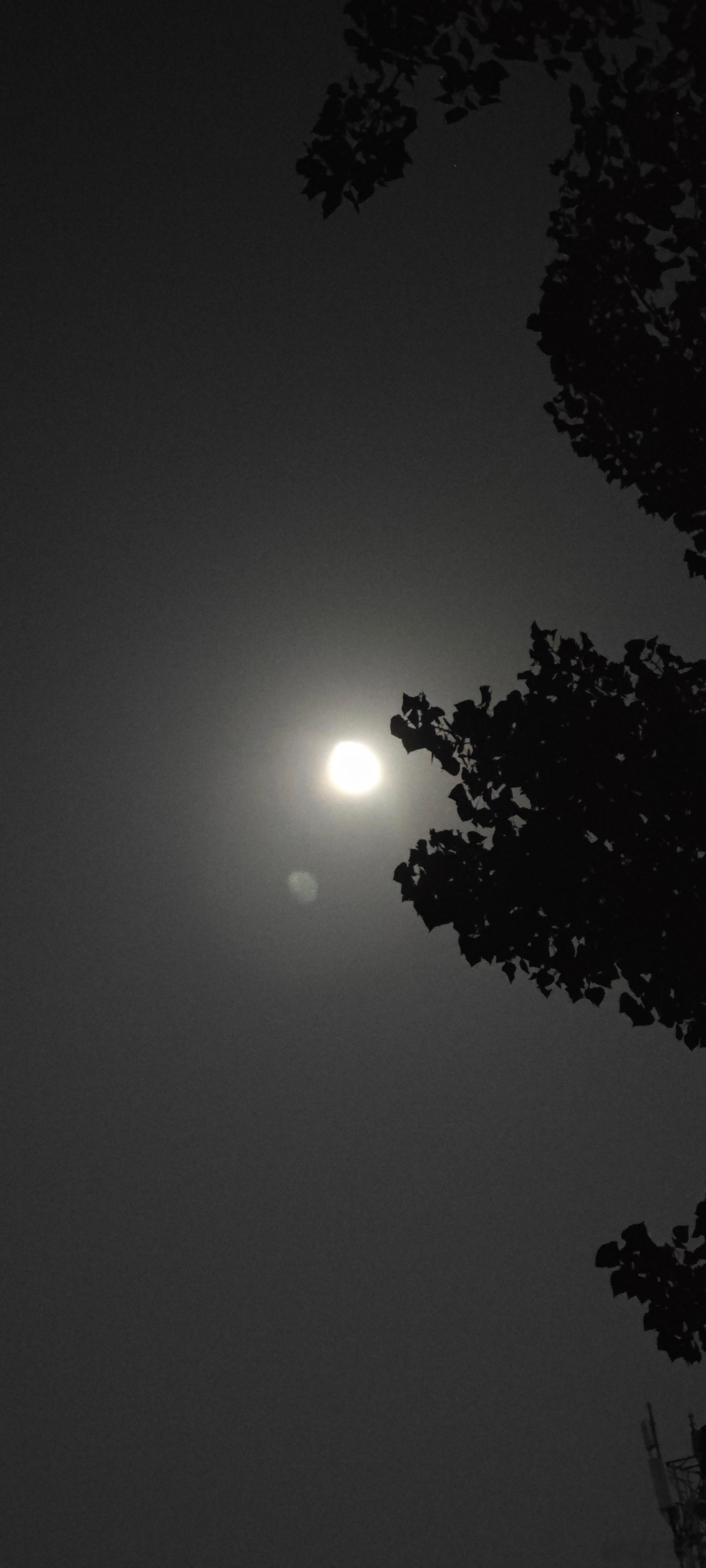 🌘 农历七月十九，月圆之夜，让我们一起欣赏月亮的美丽，感受那份宁静与神秘。愿这