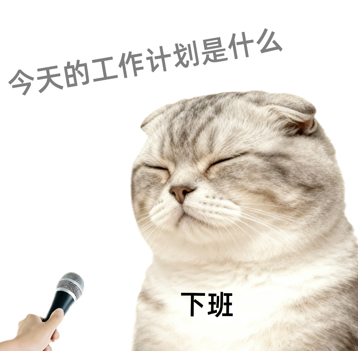 滴～温馨提示，上班时长剩余不足[笑而不语]请问水喝够了吗？手机充电了吗？晚餐预订