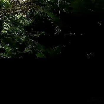 每日一善  🍀阳光信用🍀 每日一善 真正让人变好的选择，过程都不会很舒服。你