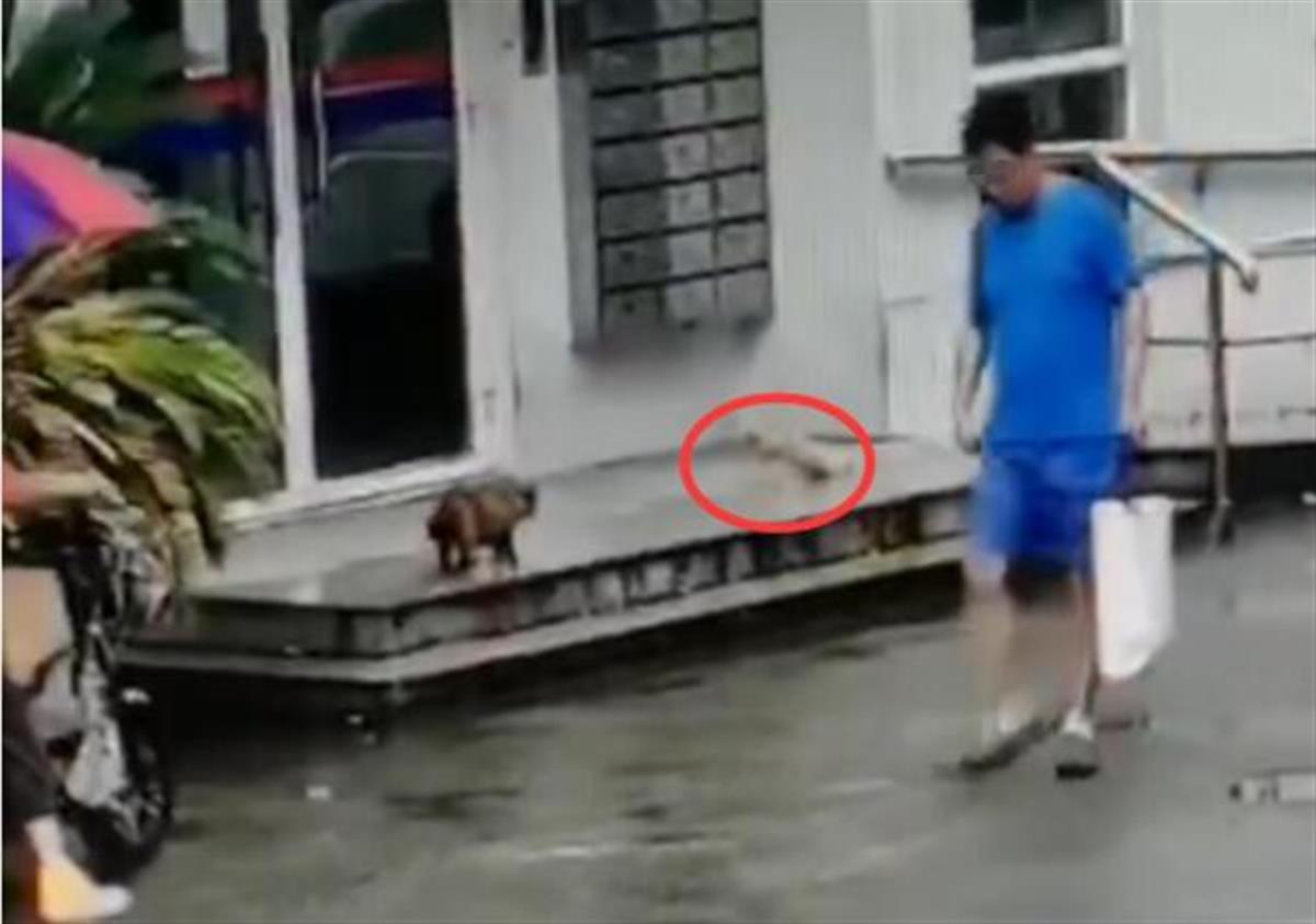 这起令人震惊的事件迅速在网络上传开，无数人在愤怒之余，也开始深思：我们到底在教育