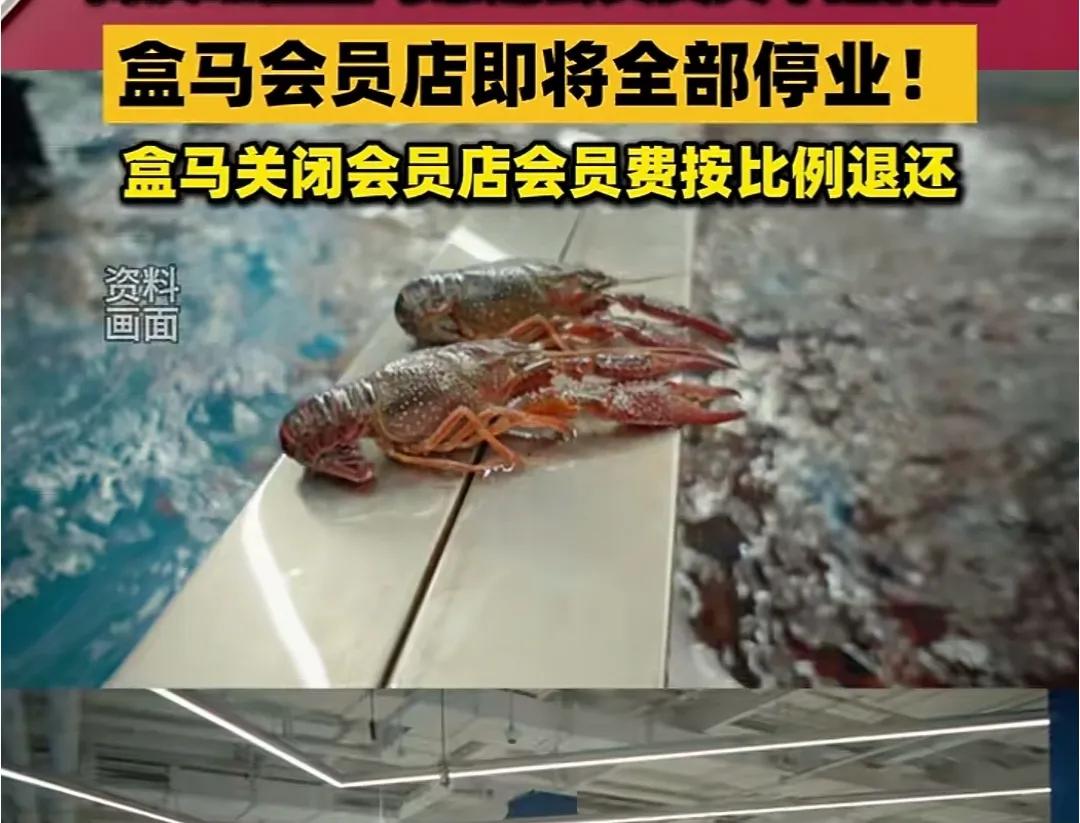 为什么收会员费谁都竞争不过山姆？盒马会员超市全面关停，这下山姆又少一个竞争对手！