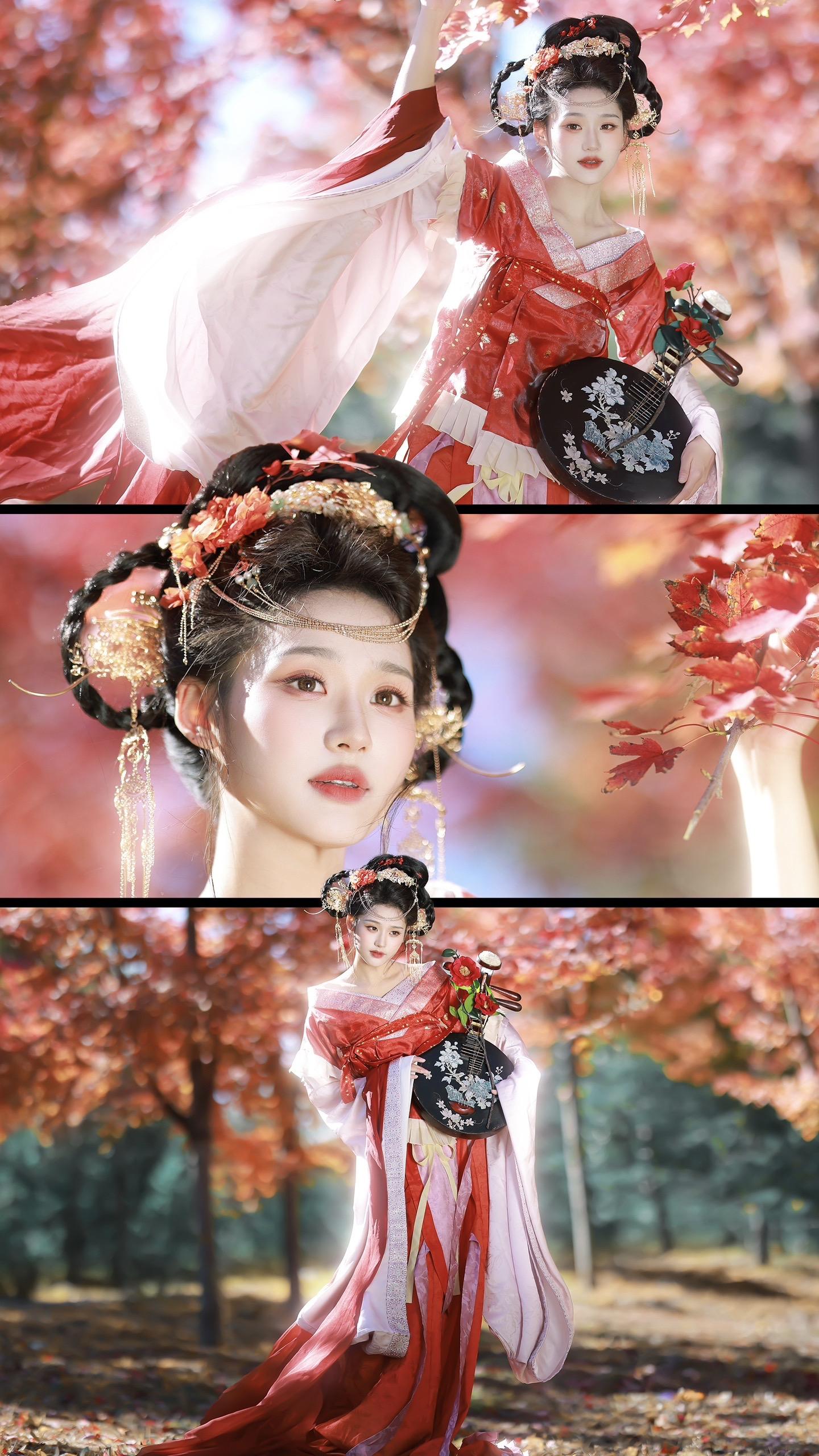 热烈的红枫～喜欢！