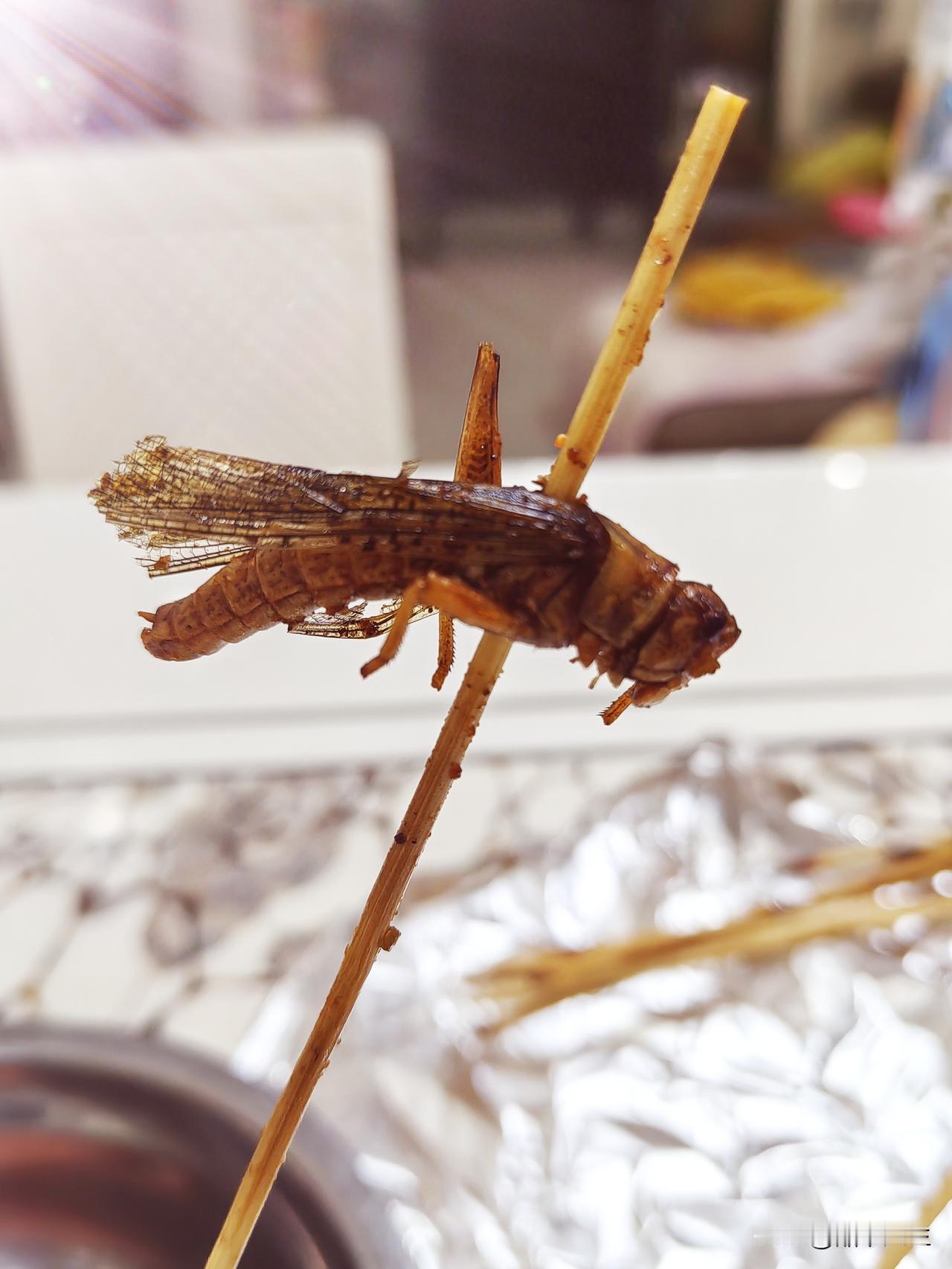 从这件事能看出，我们夫妻俩还是存在差异的。老婆从事财务工作，加班是常有的事。公司