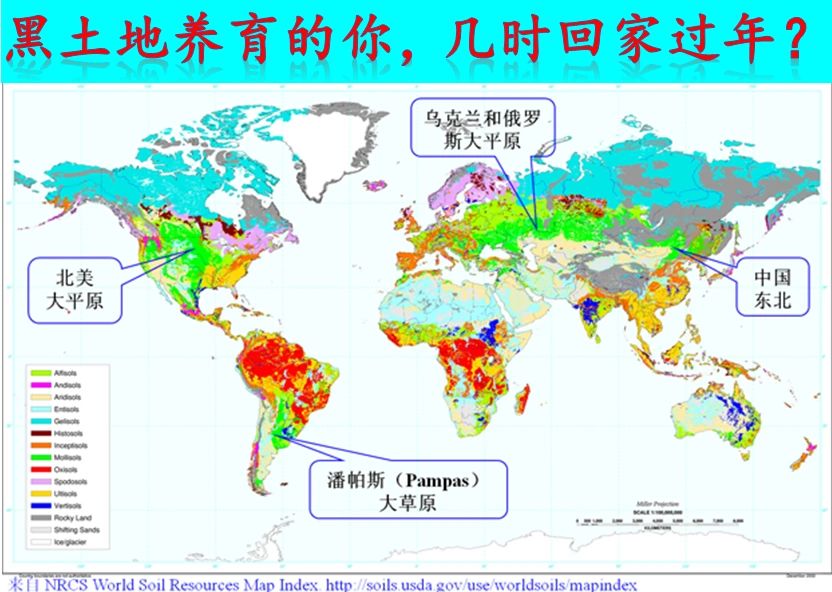 黑土地养育的你，今年几时回家过年呀？