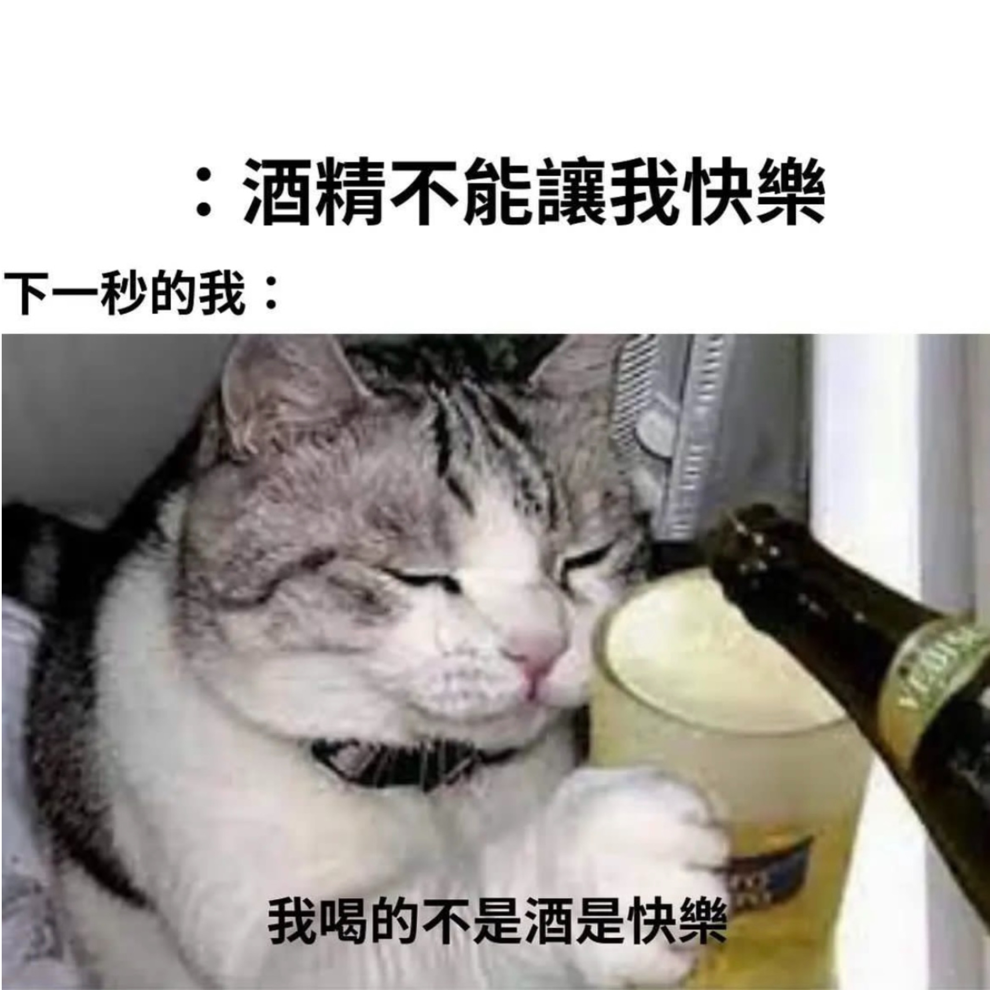 要快落#meme# ​​​