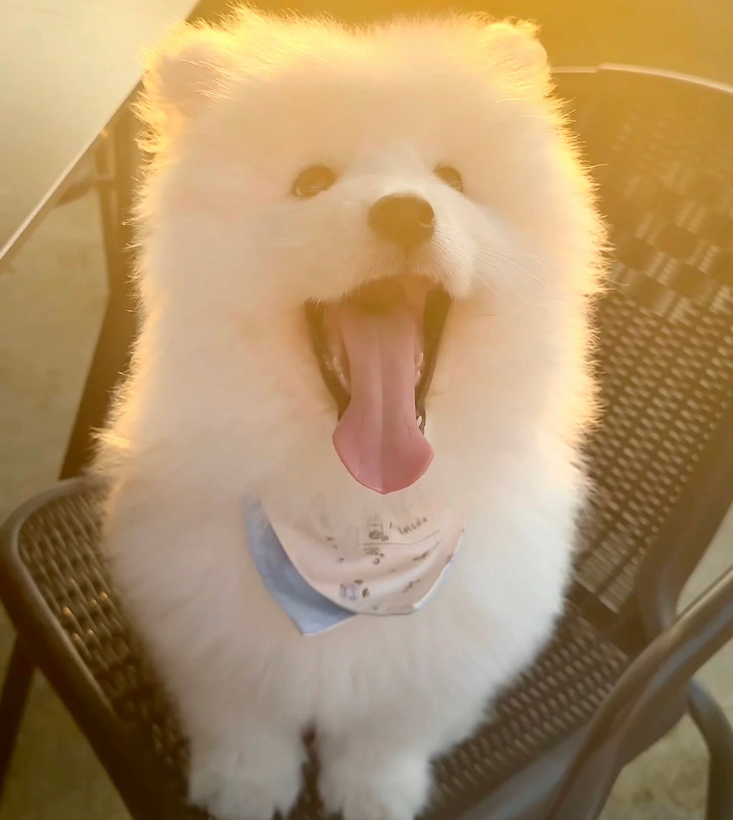 夕阳西下，可爱耶 ​​​