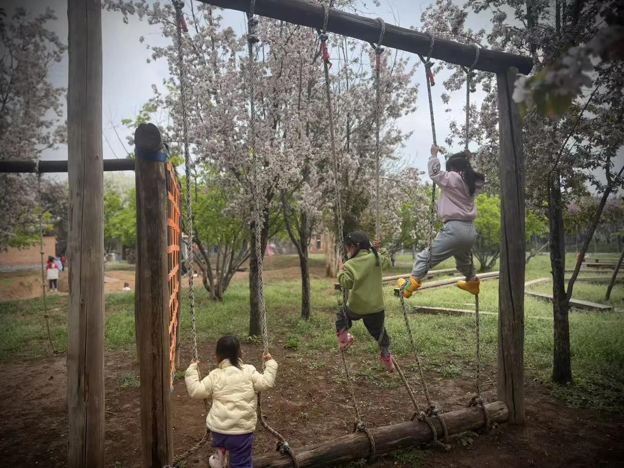 在河北省石家庄市的一所幼儿园里，阳光暖暖地洒在操场上，一场别开生面的“绳子攀登”