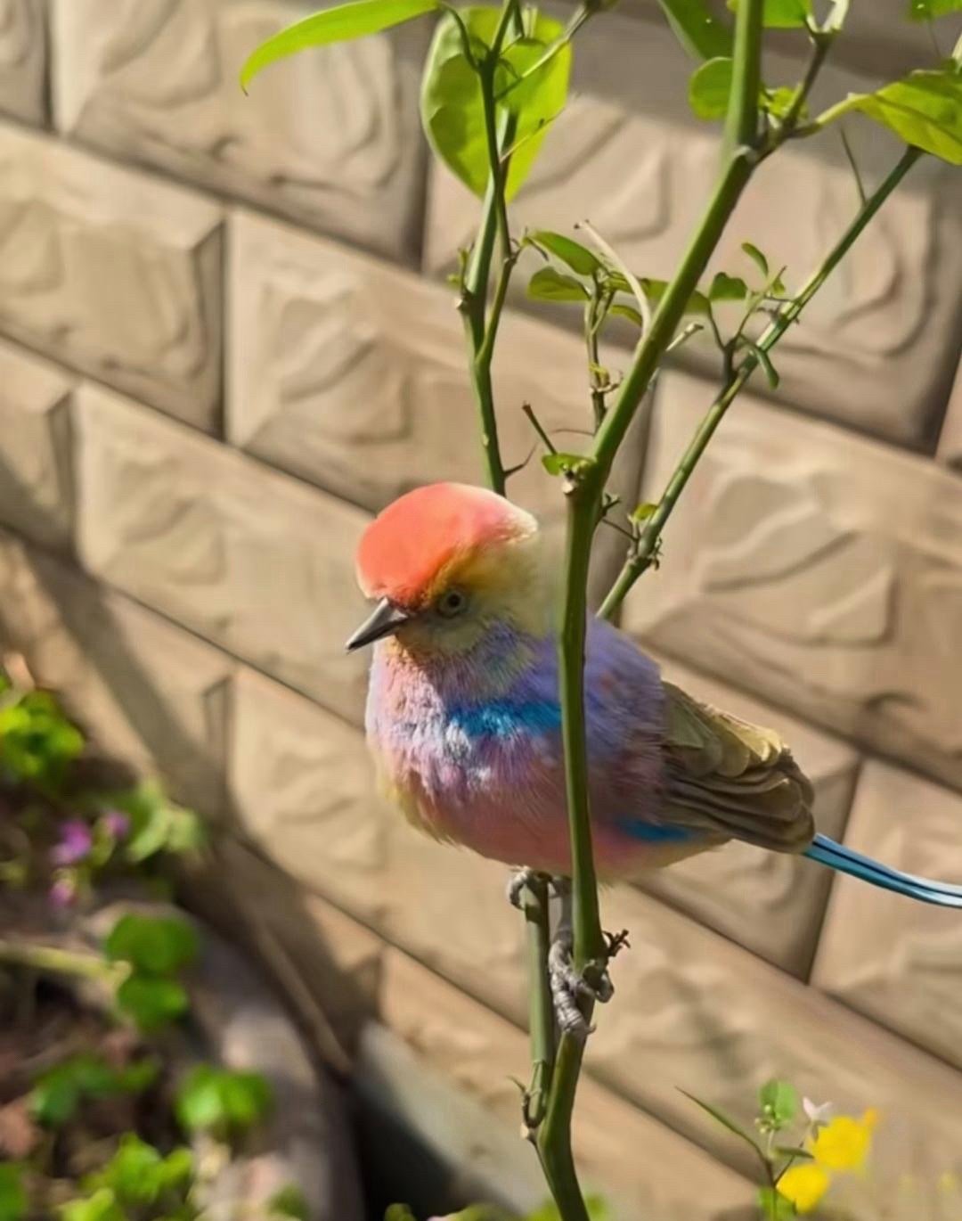 原油后面变数比较大，没利润的就不要做了，我看到居然有人做油亏钱了？估计是高买低卖
