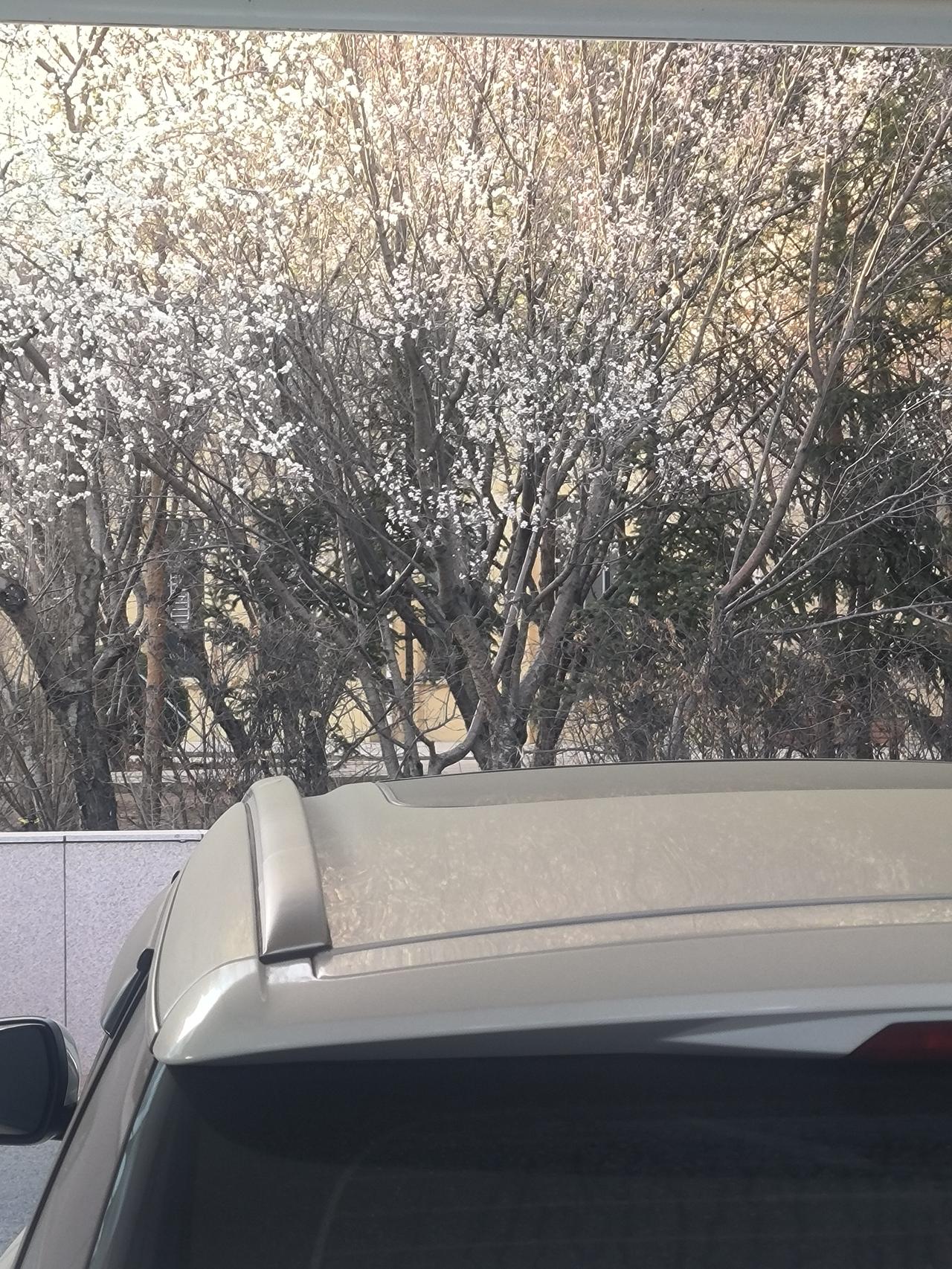 近期很忙丶很累丶也很感动，因为我有几个知心知底儿的兄弟，他们对我无私的帮助，一直