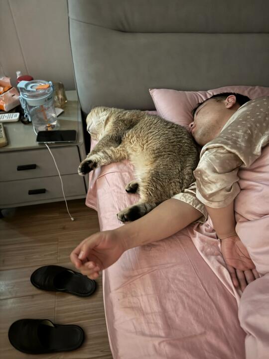 谁养的猫像谁 你们的呢？🙄