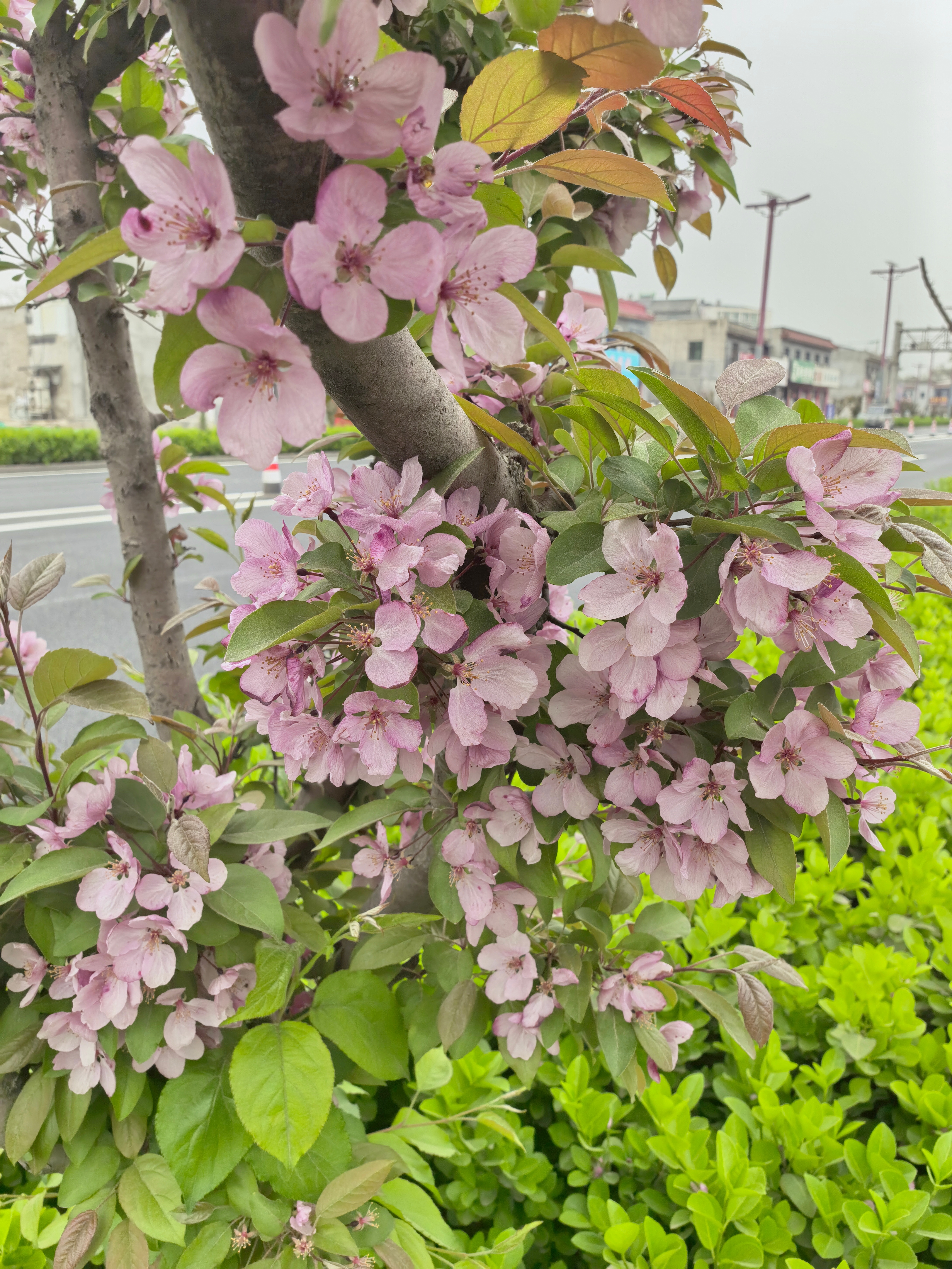 早安浅浅记录，很哇塞的一天，以欢喜之心，慢度日常。早上好～ 