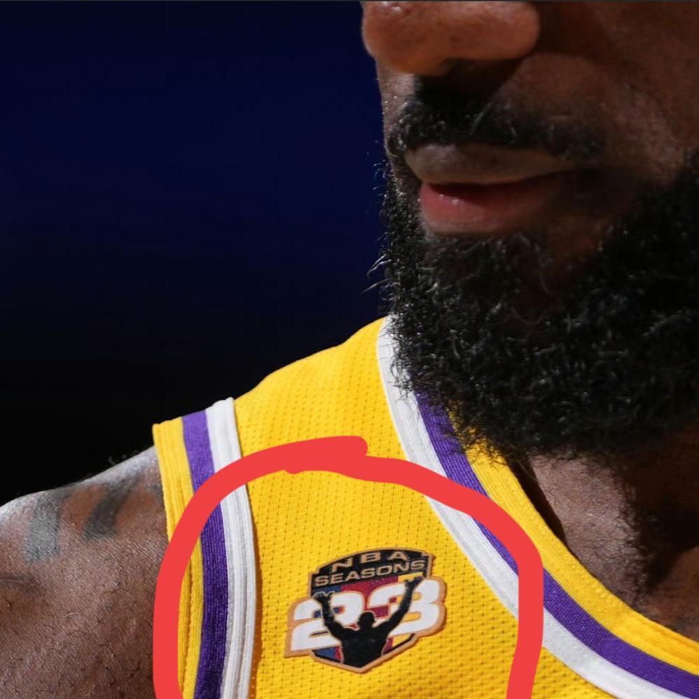 你有没有发现詹姆斯球衣上多了一个这样的标志！
有没有想知道是什么意义？
豆包回答