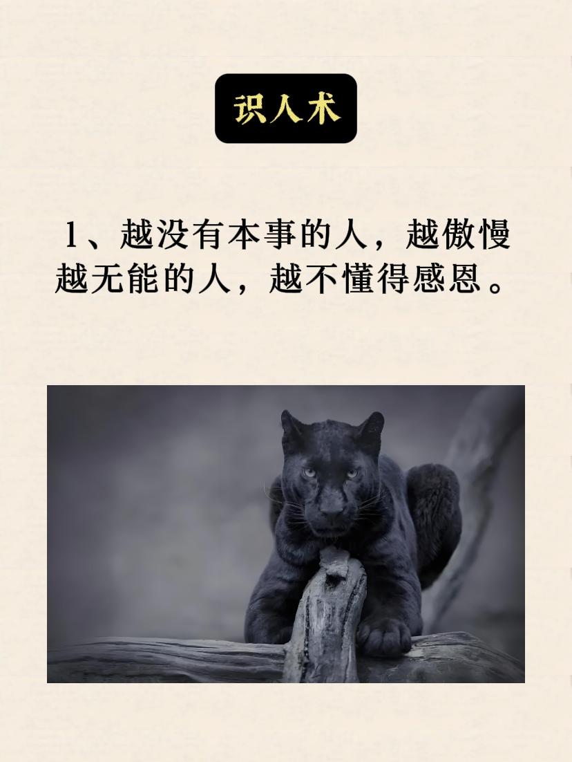 #识人术 #看人识人 #图文热点来了