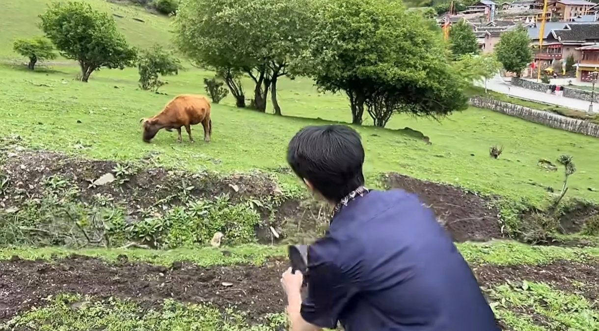 夏之光认真给牛出片的男人夏之光给牛出片牛给了报酬夏之光沉浸式给小牛拍照，全程专注