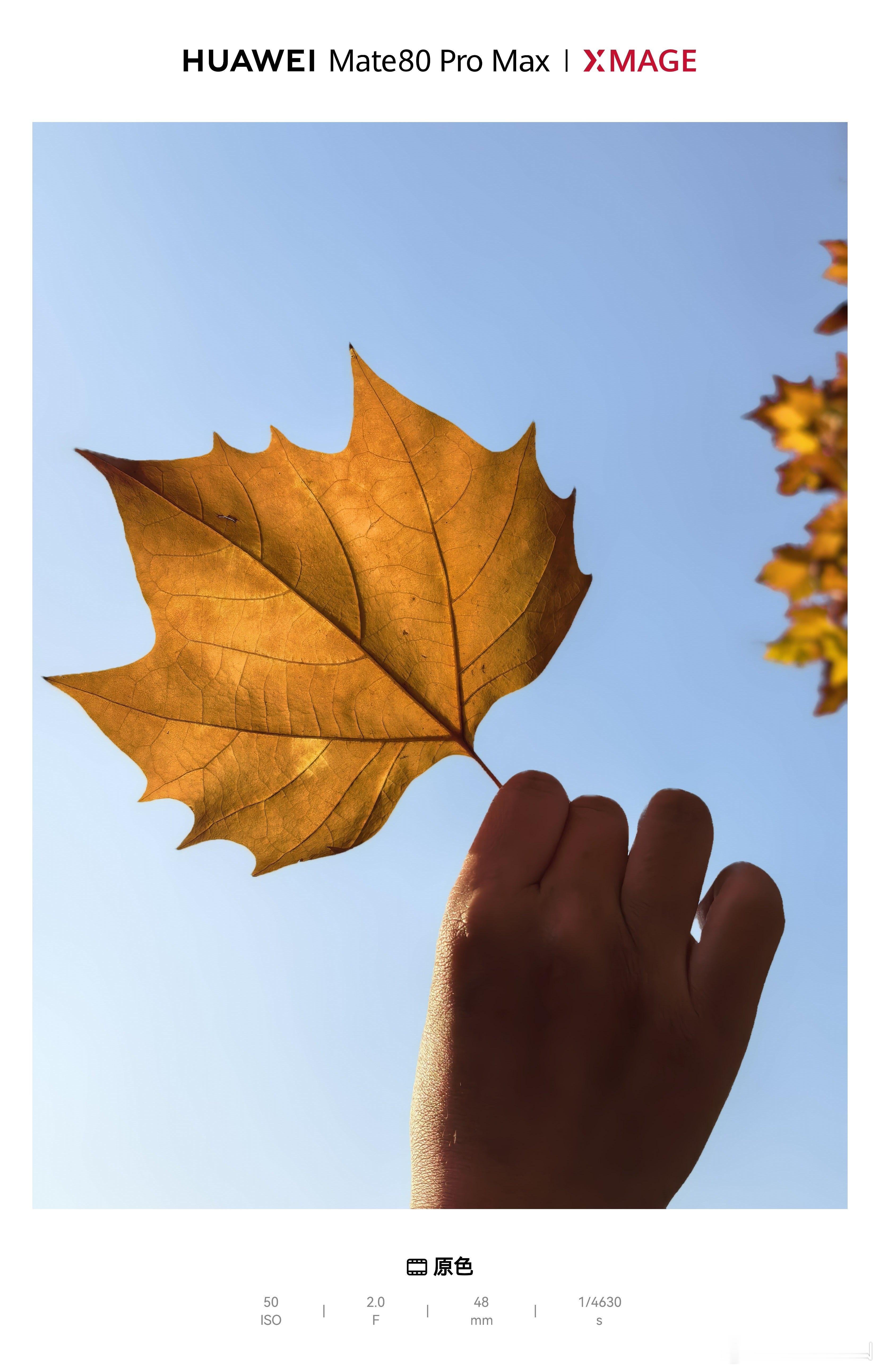 一座英雄城的红色足迹 今年的南昌仿佛秋季常驻，冬天真的还没到来似的。候鸟虽然已经