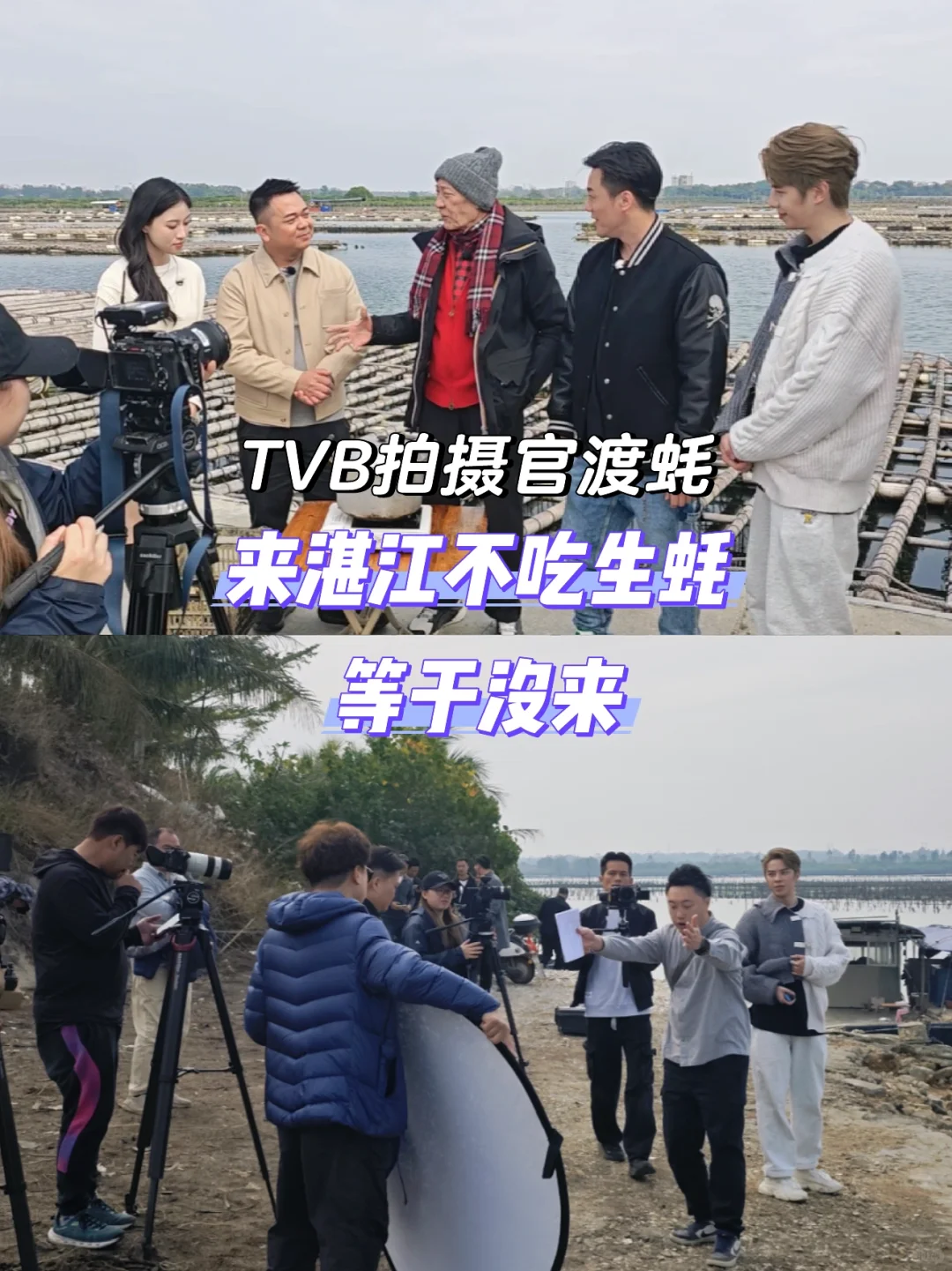 TVB来拍摄官渡生蚝🦪 来湛江一定要吃官渡蚝