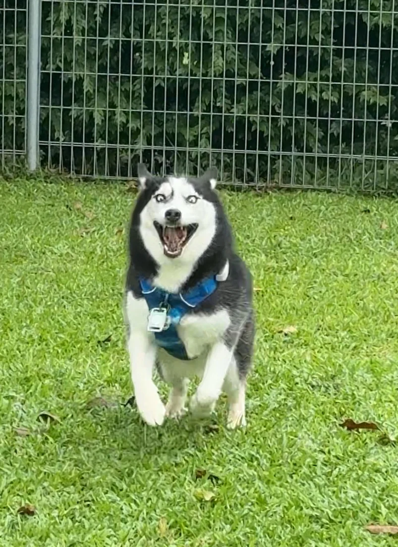 福妞最想删掉的照片