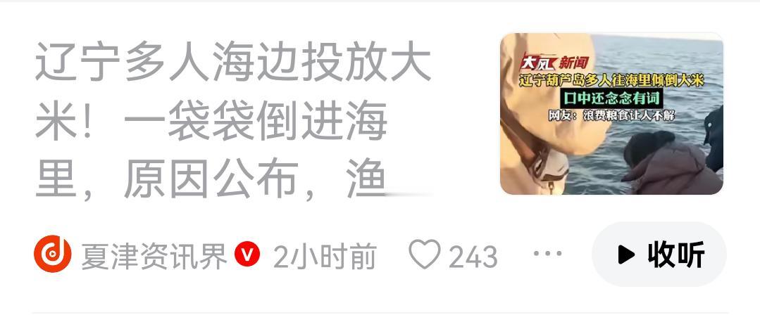 一袋袋的好大米投到海里喂鱼，这是他娘的积德吗？这是造孽啊！
    辽宁海里倒大