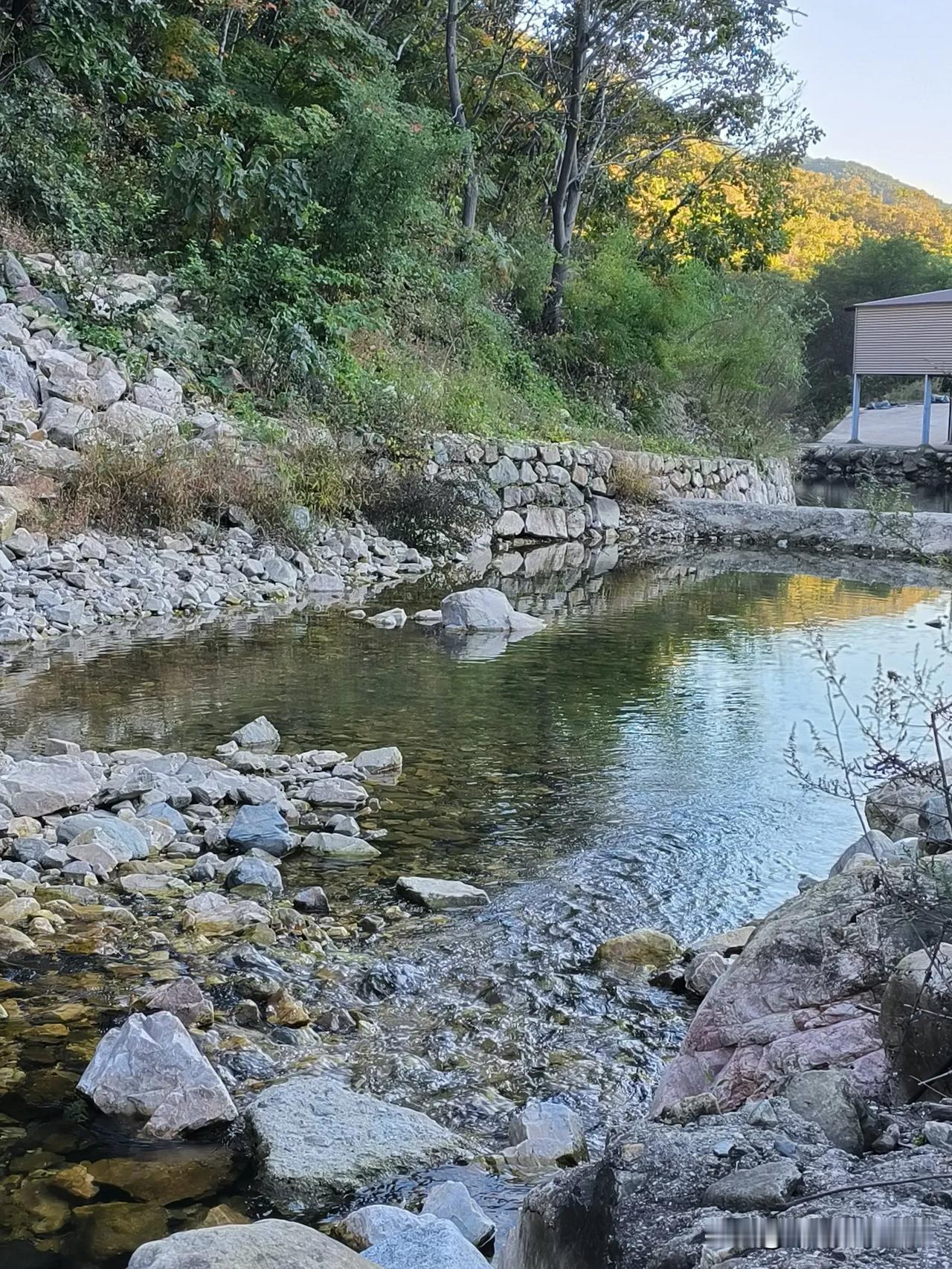 #随手记录秋日生活#
走在这山林间
看山川辽阔
秋意浸染
山谷里的小溪
流水潺潺