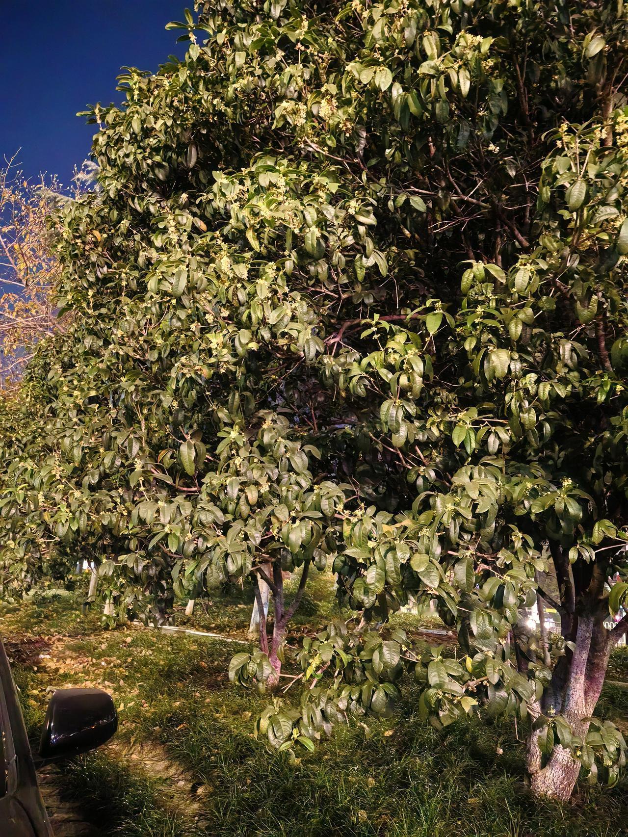 曾以为自己很顽固难以改变，没想到才半年多的物业工作竟造就了一个全新的我



昨