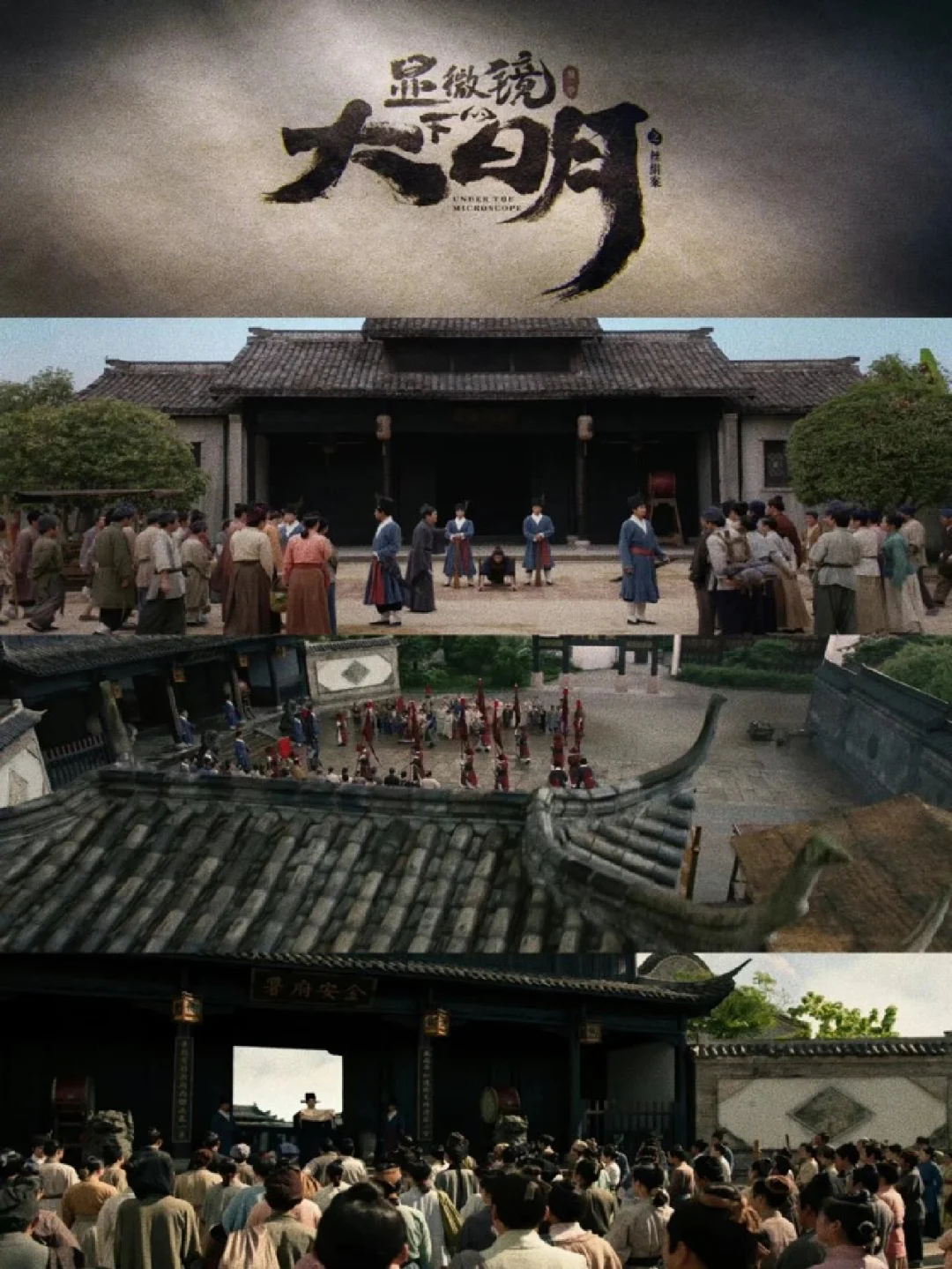 定档❗️悬疑迷案，张若昀成数学天才❗️