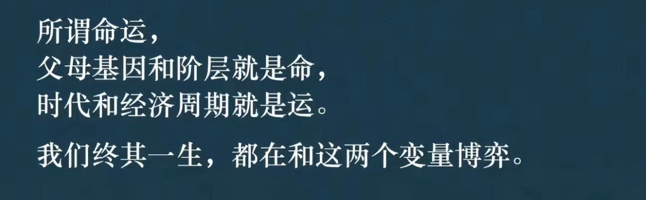 很久没听过这么精辟的分析了。 