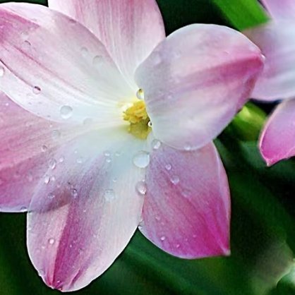 每日一善每日一善 无论走到哪里，我们都要学会支撑自己，失败时给自己多一些激励，孤