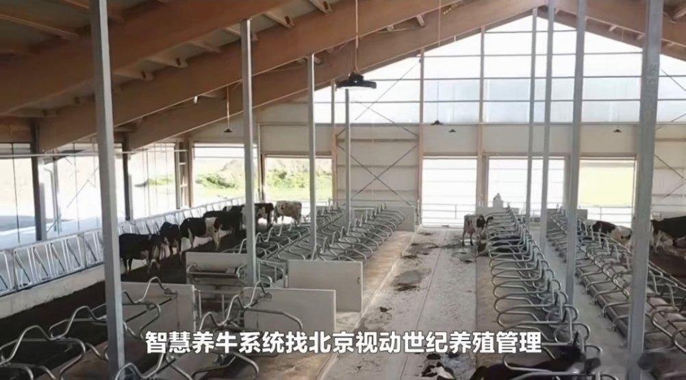 牛已经学会用AI了当何广智开始研究牛马经济学广智脱口秀里吐槽智能设备的段子好笑，