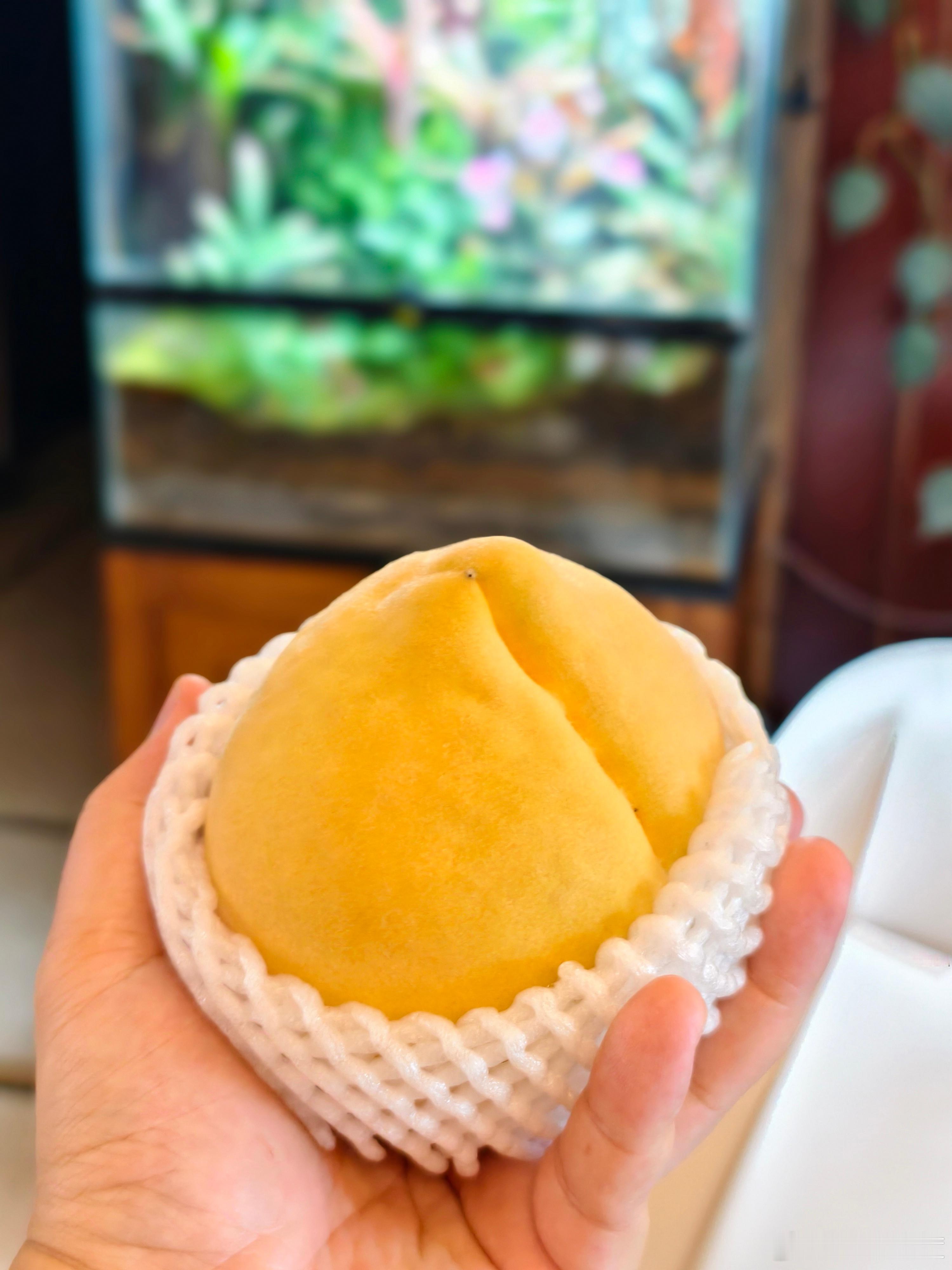 喜欢吃各种黄桃，这是朋友带来的嘉善锦绣黄桃，又大又脆。 ​​​